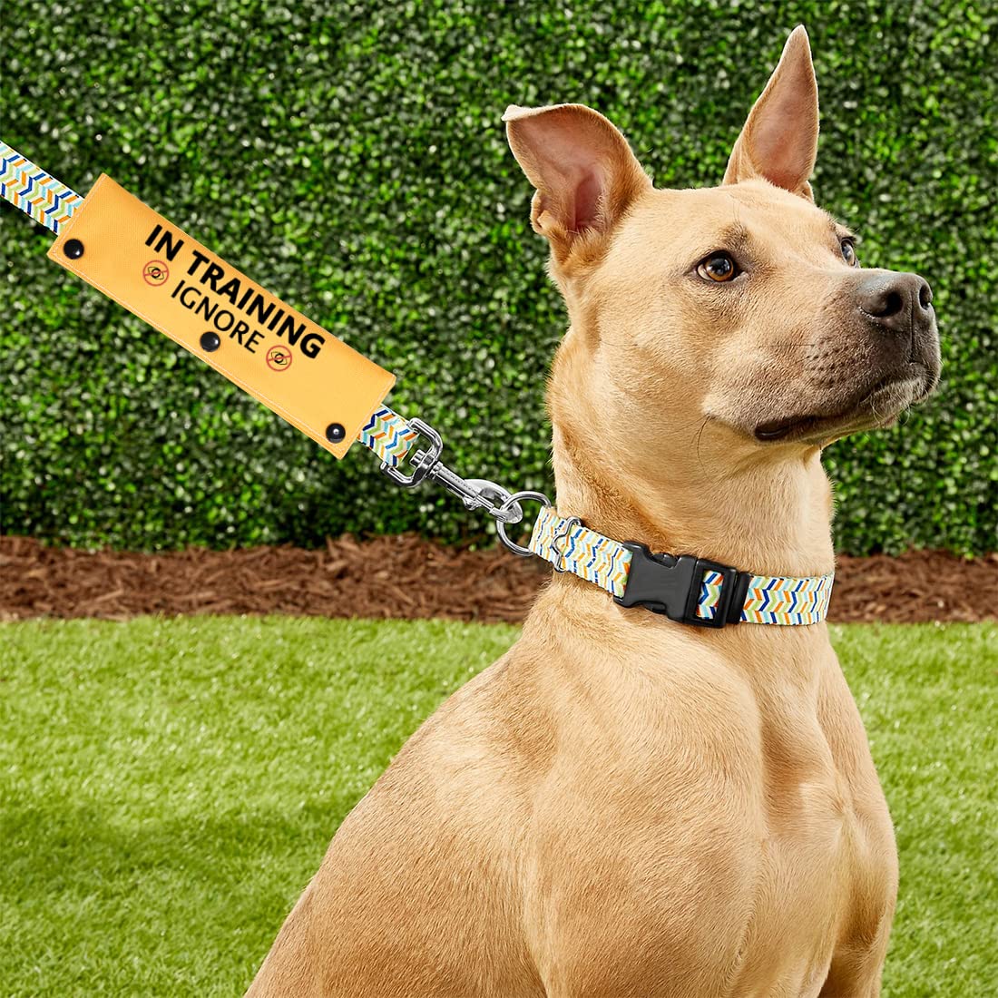 Pwhaoo In Training Ignore Dog Leash Sleeve Dot Not Pet Working Dog Leash Sleeve Service Dog Leash Wrap (In Training Ignore Sleeve)