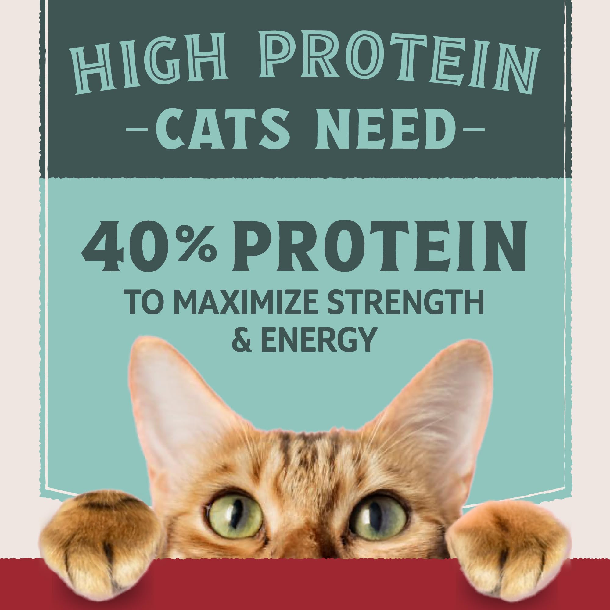 Natural Balance Ultra Protein Dry Cat Food, Real Chicken & Chicken Meal Recipe with Protein-Rich Organs - 10 lbs.