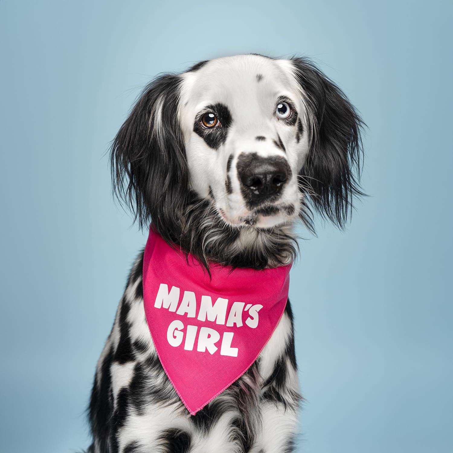 Mama'S Girl Dog Bandana | 100% Cotton For Mom | Valentine'S Day | Prop Photoshoot | Camo, One Size (949)