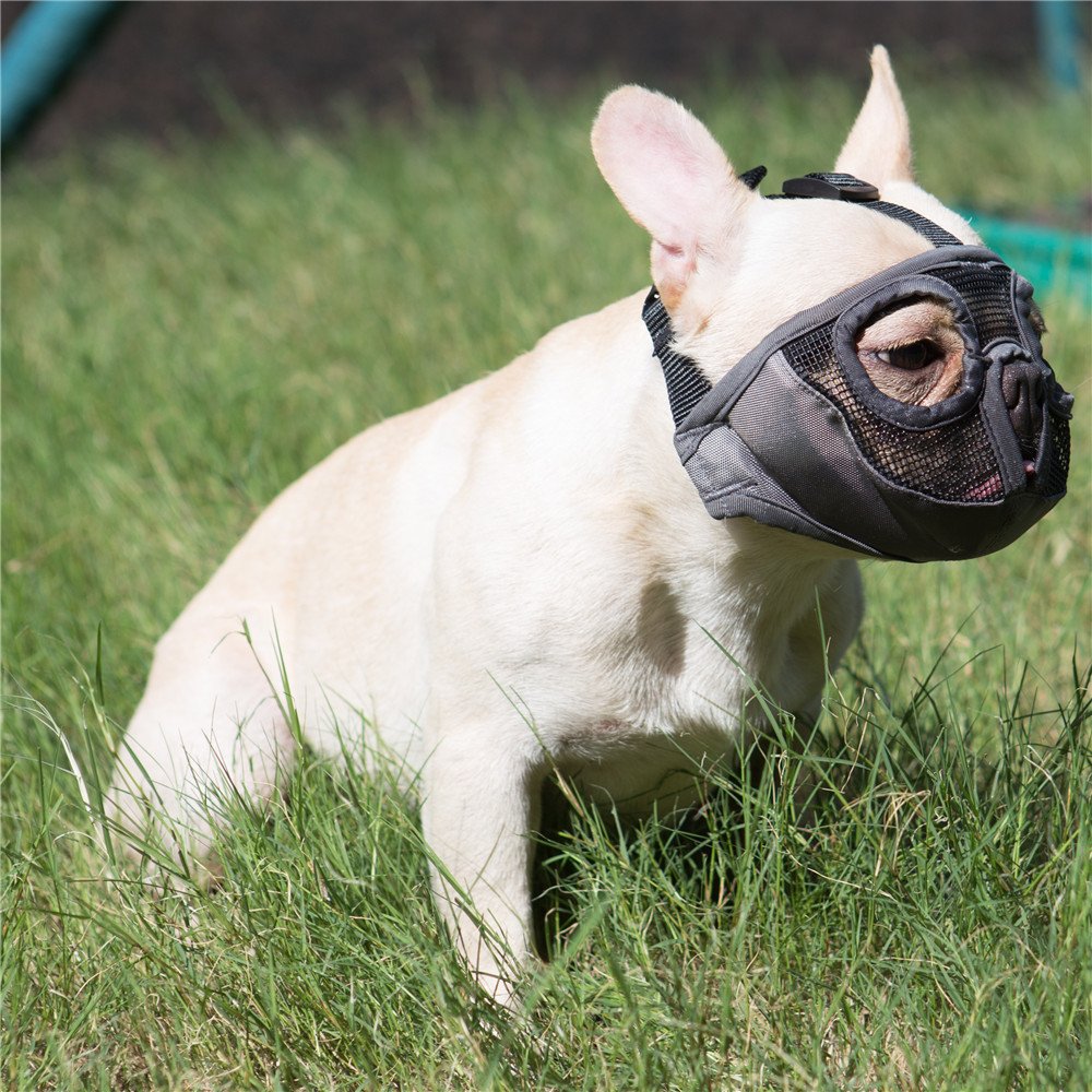Jyhy Short Snout Dog Muzzles- Adjustable Breathable Mesh Bulldog Muzzle For Biting Chewing Licking Training Grooming Dog Mask (G