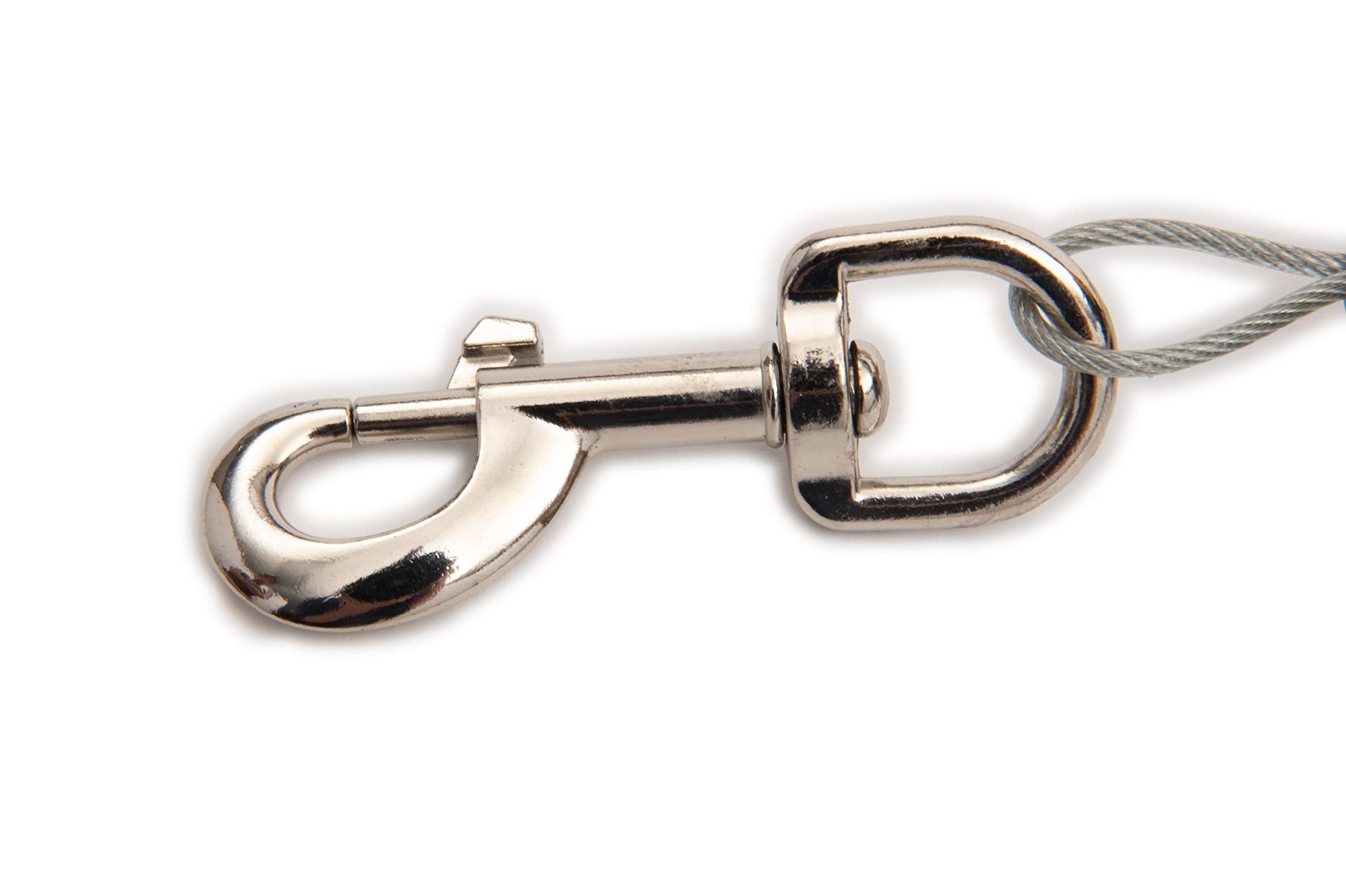 Lixit Bracket Mount And Stake Retractable Leash Tie Outs For Dogs (Stake+Bracket, Medium)