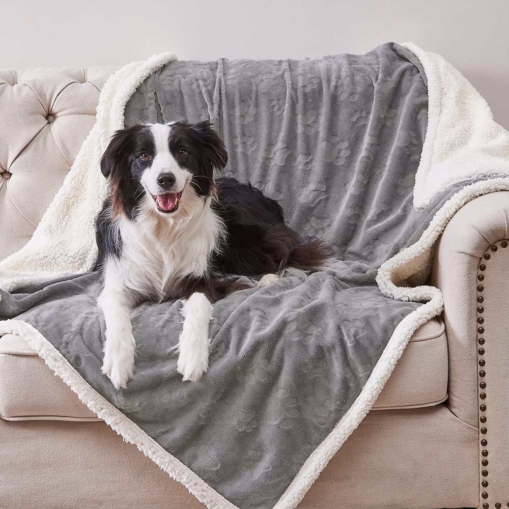 Qeils Dog Blankets For Medium Dogs - Waterproof Cat Blanket Washable - Sherpa Fleece Puppy Blanket, Soft Plush Reversible Throw 