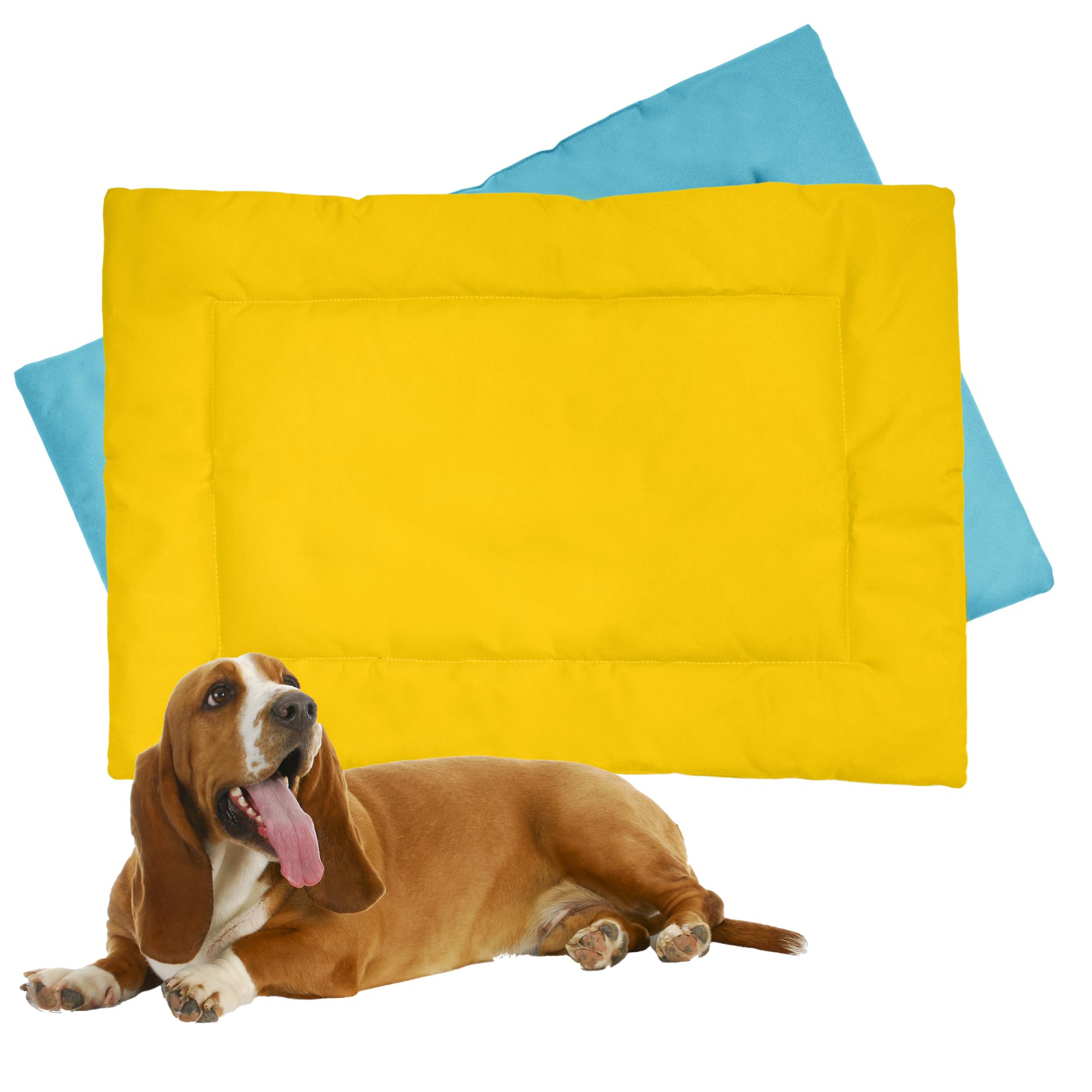 Downtown Pet Supply Dog Crate Pad, 29 x 20 - Waterproof, Ripstop Nylon Dog Crate Mat Chew Proof and Machine Washable - Blue and 