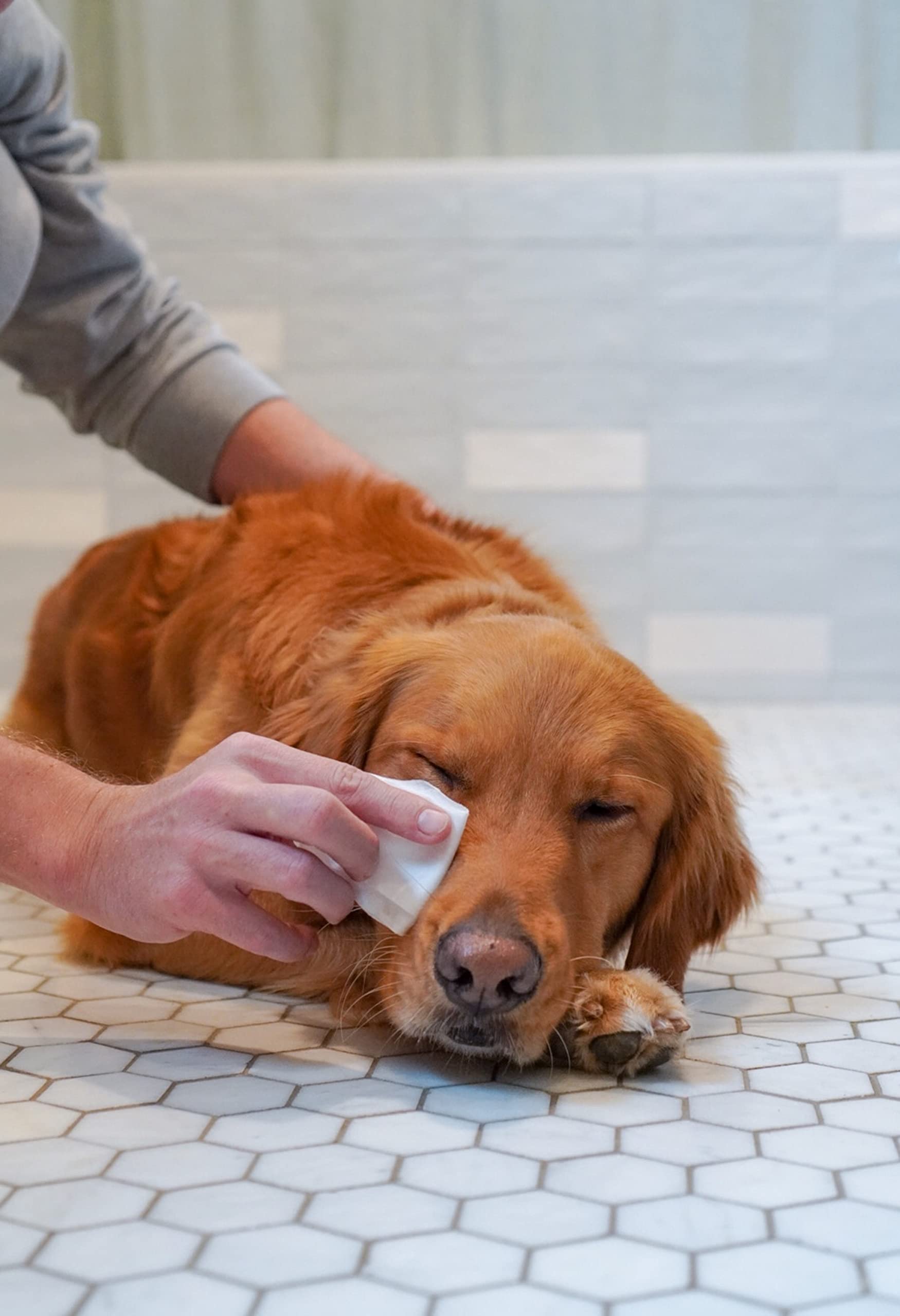 FP 30CT DOG/CAT EYE WIPES