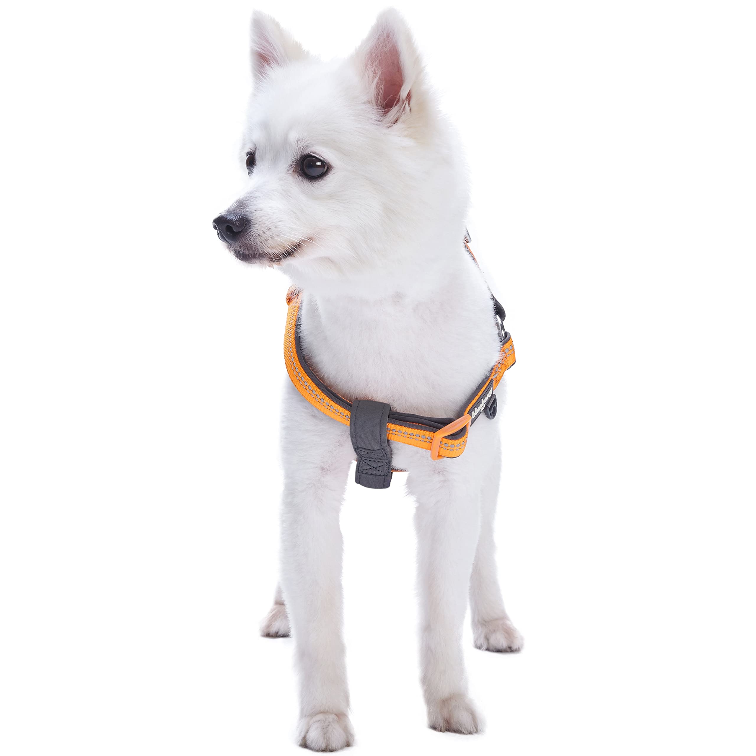 Blueberry Pet Soft & Comfy 3M Reflective Step-in Pastel Color Padded Dog Harness, Chest Girth 16.5 - 21.5, Orange Peel, Small, A