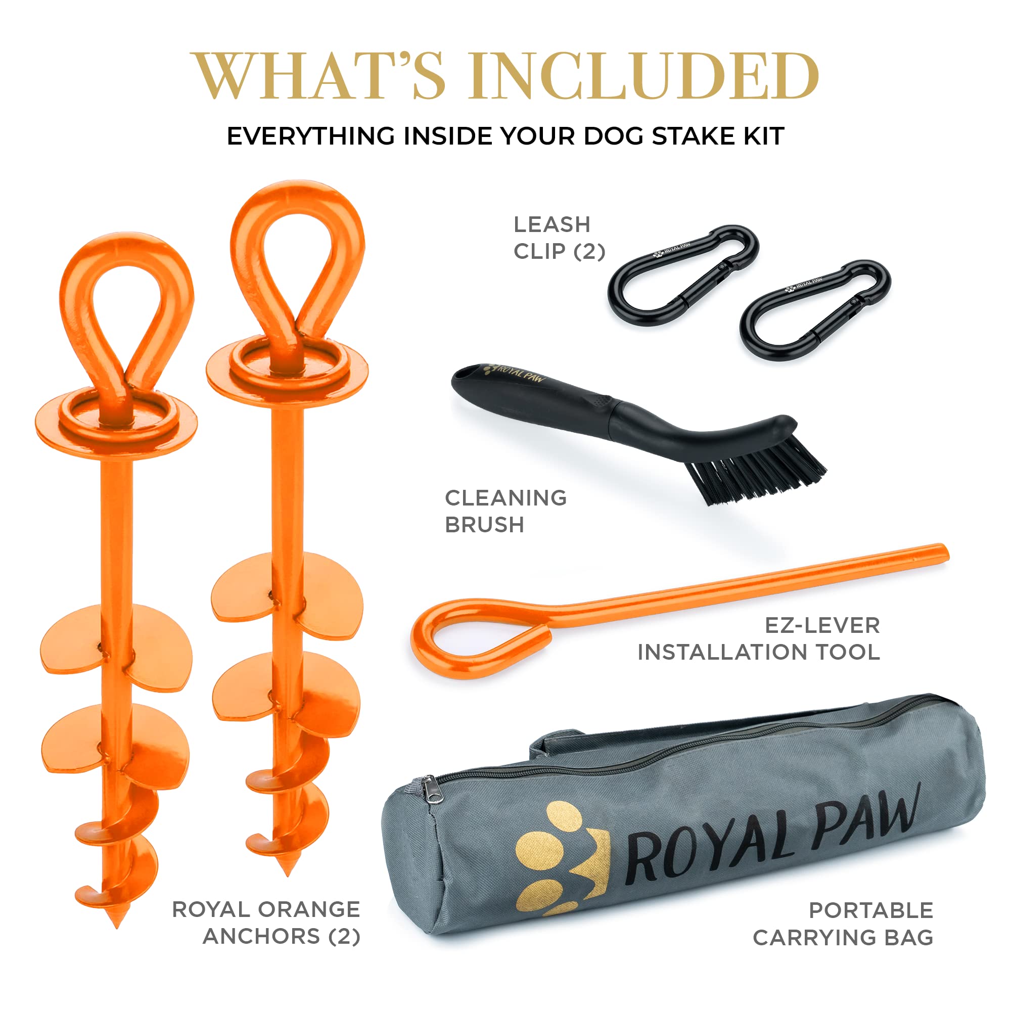 ROYAL PAW Dog Tie Out Stake - Heavy Duty for Large Dogs up to 210 lbs, Stainless Steel, O2-Royal Orange 2-Pack