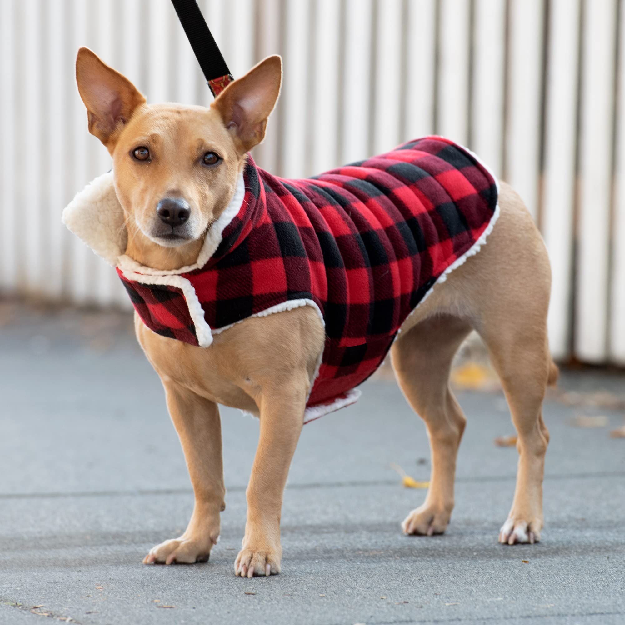 Furhaven Reversible Small Dog Coat, Washable & Insulating W/ Leash Access - Sherpa & Plaid Fleece Flex-Fit Jacket - Cream/Red, S