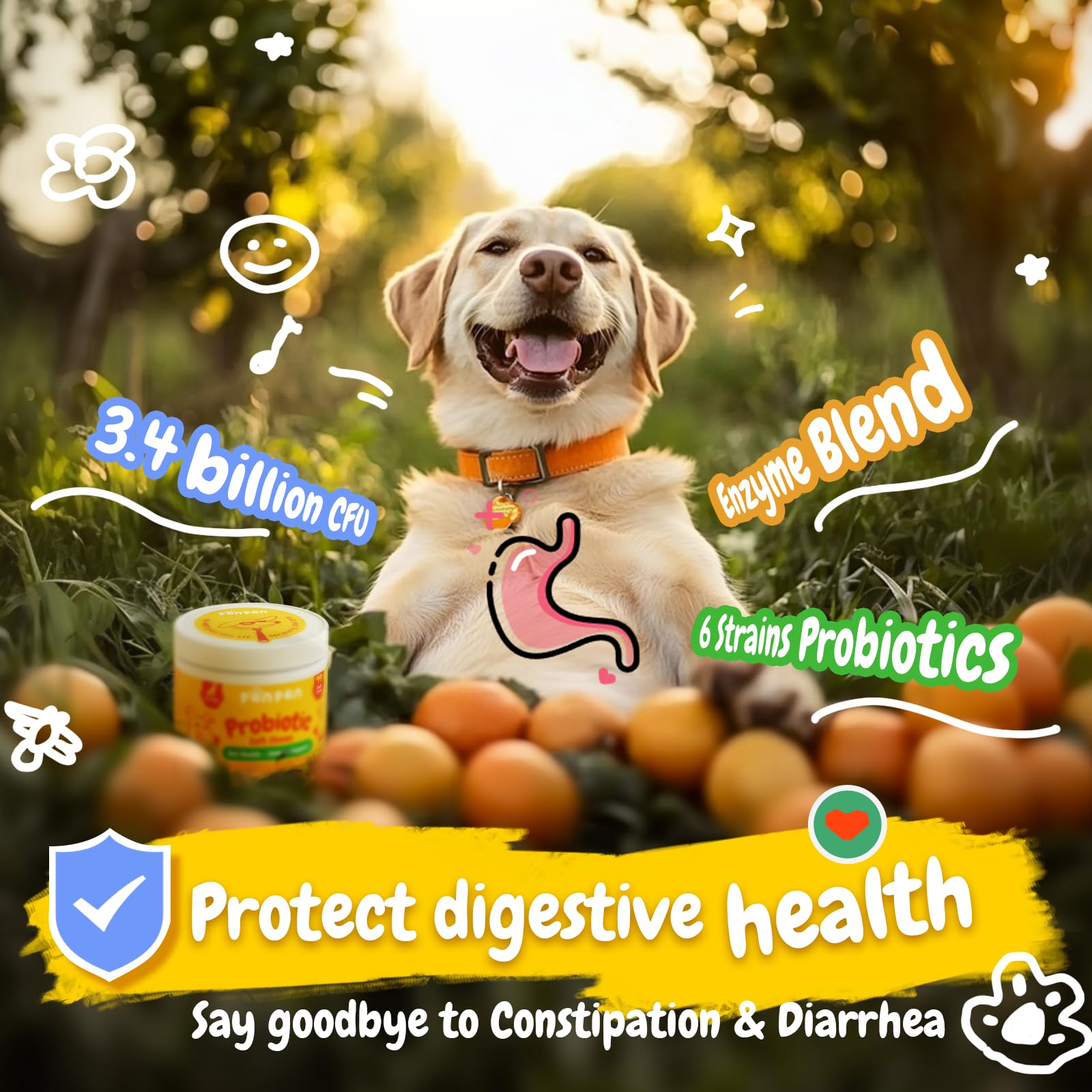 PENPEN Probiotics for Dogs, Dogs Probiotics for Digestive Health, Multi-Probiotic and Enzyme Blend Promote Gut Health & Immune S