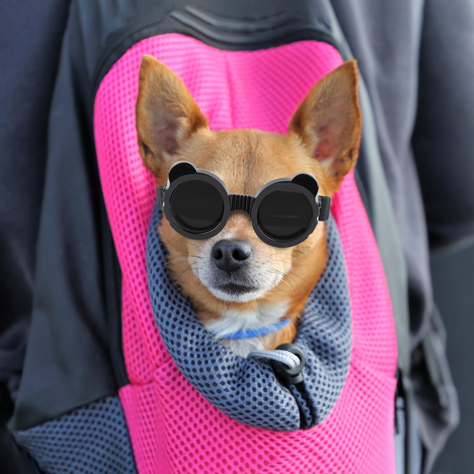 Enjoying Dog Goggles for Small Breeds - UV Protection, Anti-Fog, Adjustable Straps, Panda Black