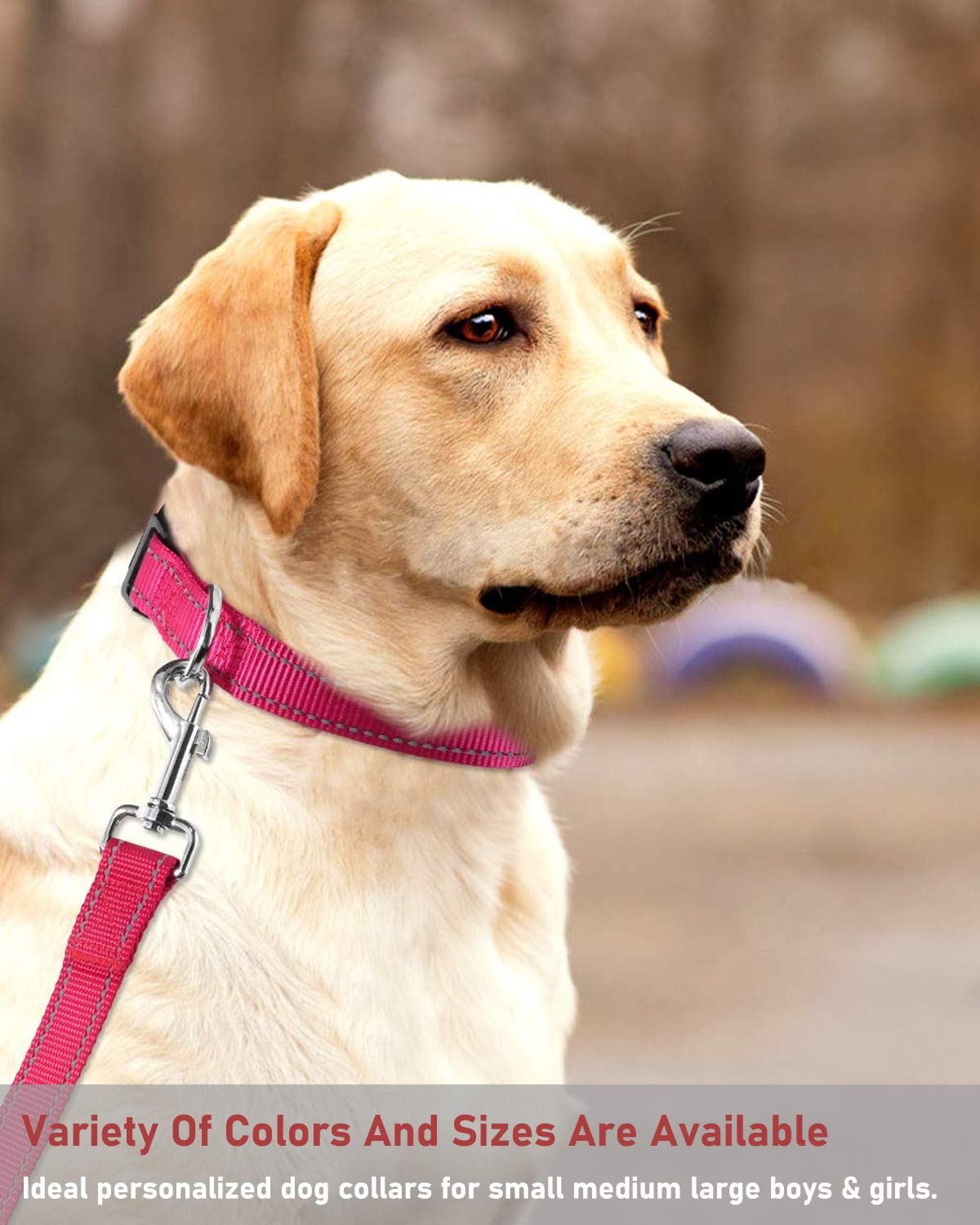 Reflective Dog Collar With Buckle Adjustable Safety Nylon Collars For Small Medium Large Dogs, Hotpink Xs