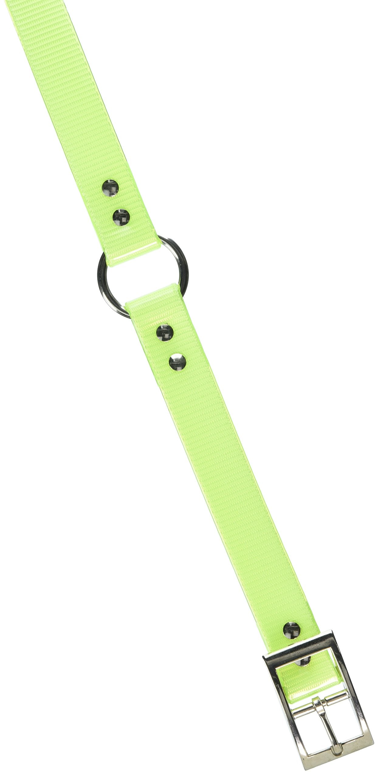 Omnipet Sunglo Ring-In-Center Dog Collar, 1' Wide, Yellow, Fits 14.5'- 18' Neck Sizes, Vibrant Colors & Tough Construction Fo