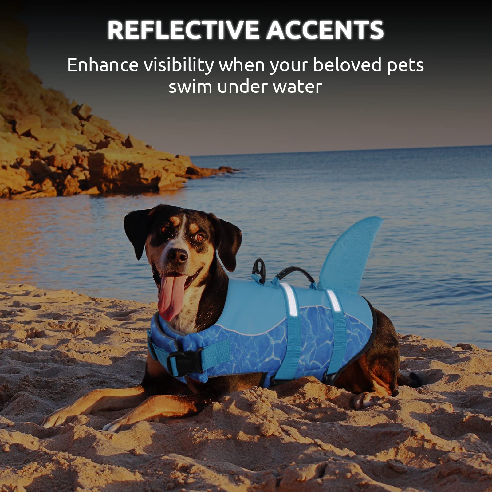 Queenmore Shark Dog Life Jacket For Swimming, High Buoyant Adjustable Vest For Dogs (Blue, L)