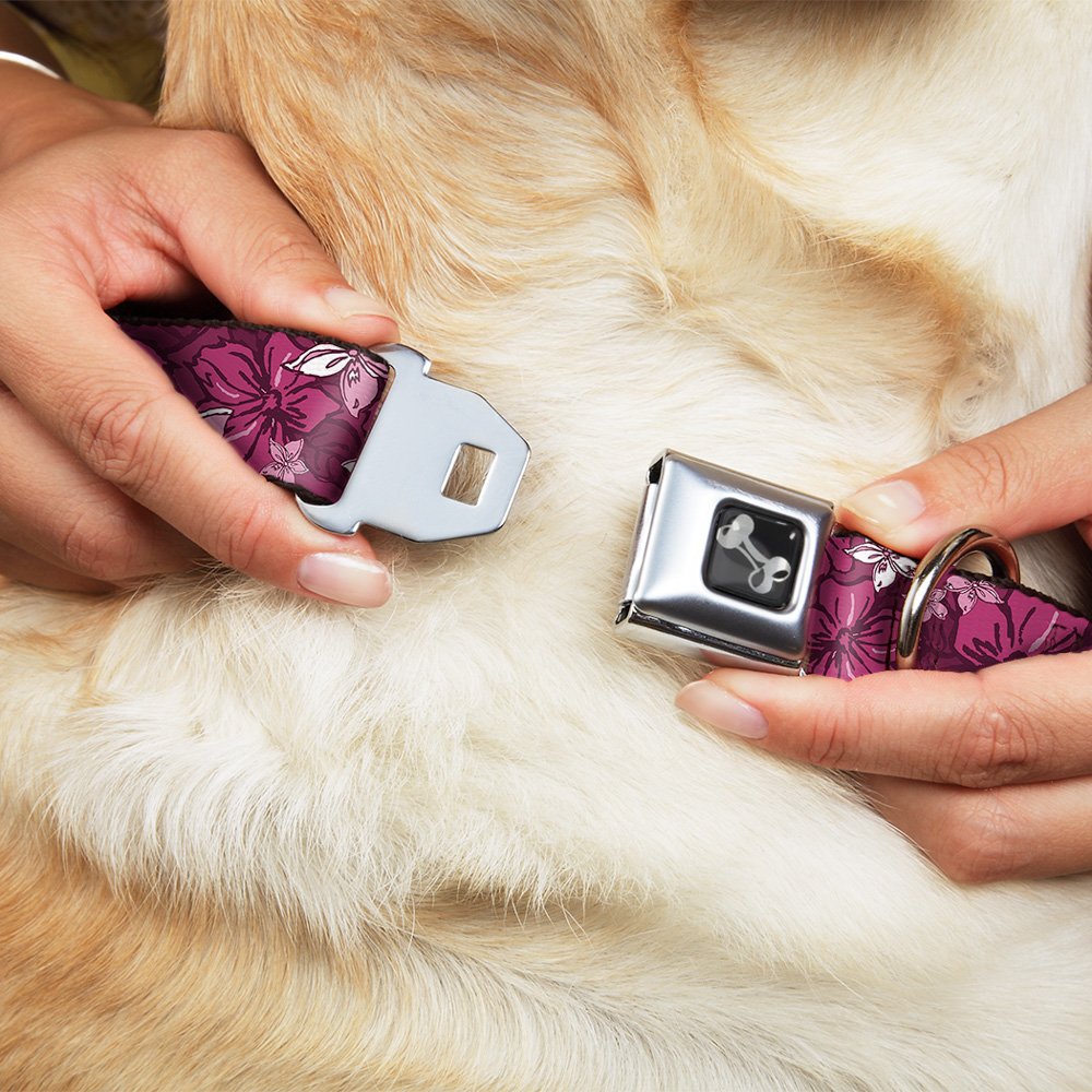 Buckle-Down Seatbelt Buckle Dog Collar - Hibiscus Collage Pink Shades - 1' Wide - Fits 15-26' Neck - Large, Dc-W30876-L
