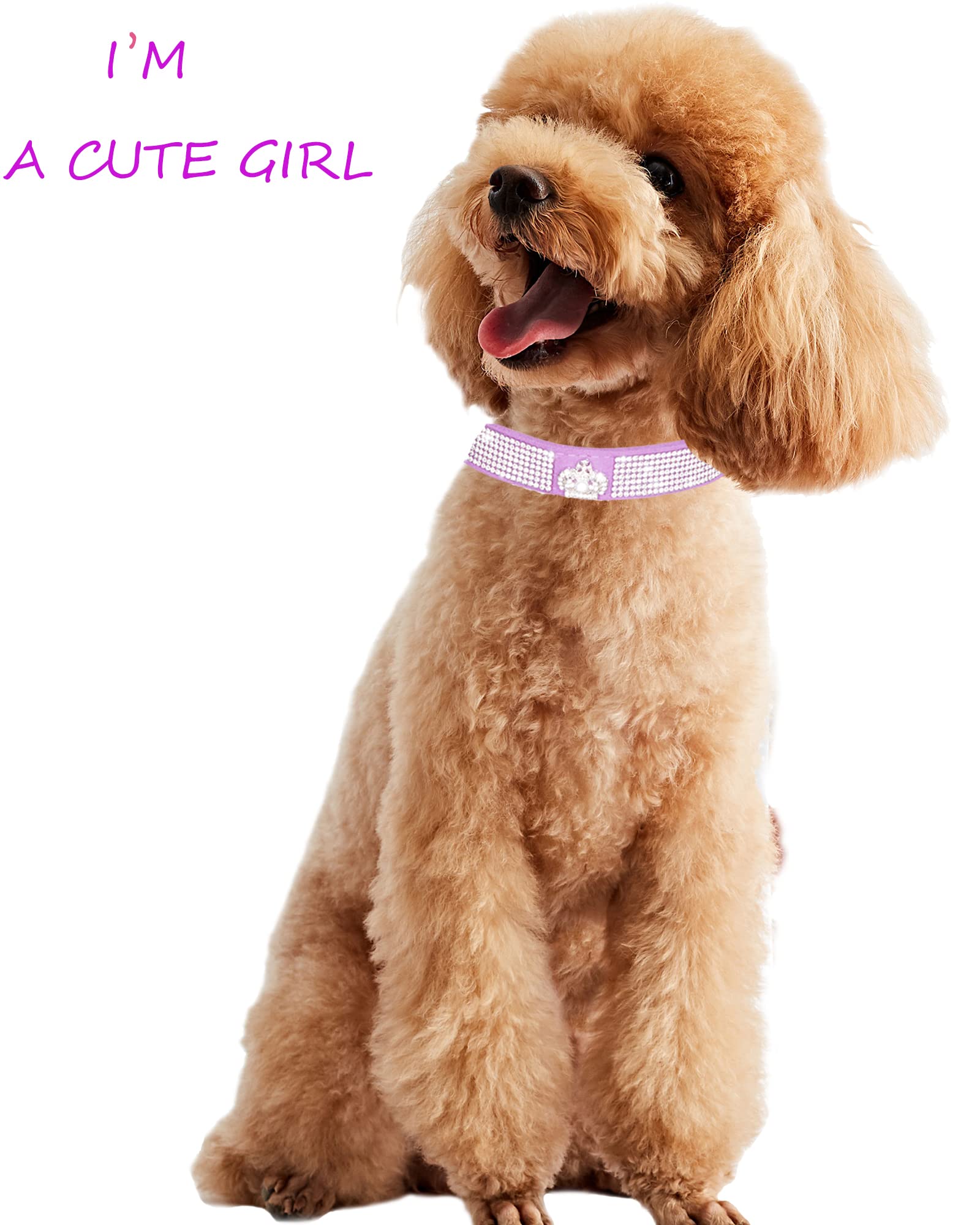 Dog Collar For Small Dogs, Adjustable Leather Suede Bling Dog Collars,Pink Dog Collar Cat Collar, Rhinestone Dog Collar (L, Purp