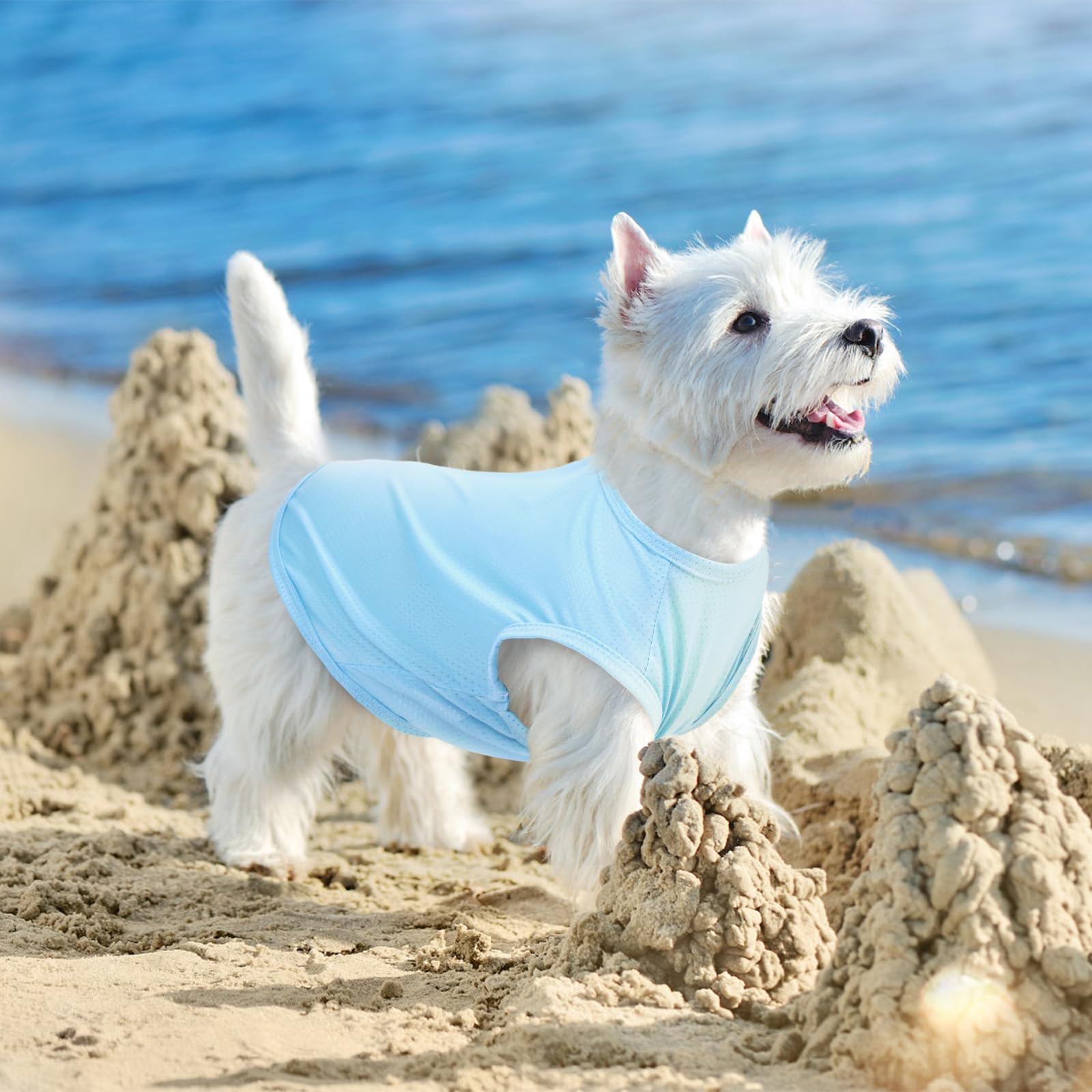 Nanaki 2 Pack Stretchy Dog Shirts- Breathable Dog Tee Shirt, Lightweight Quick Dry Tank Top Sweatshirt, Pullover Vest Pajamas, I