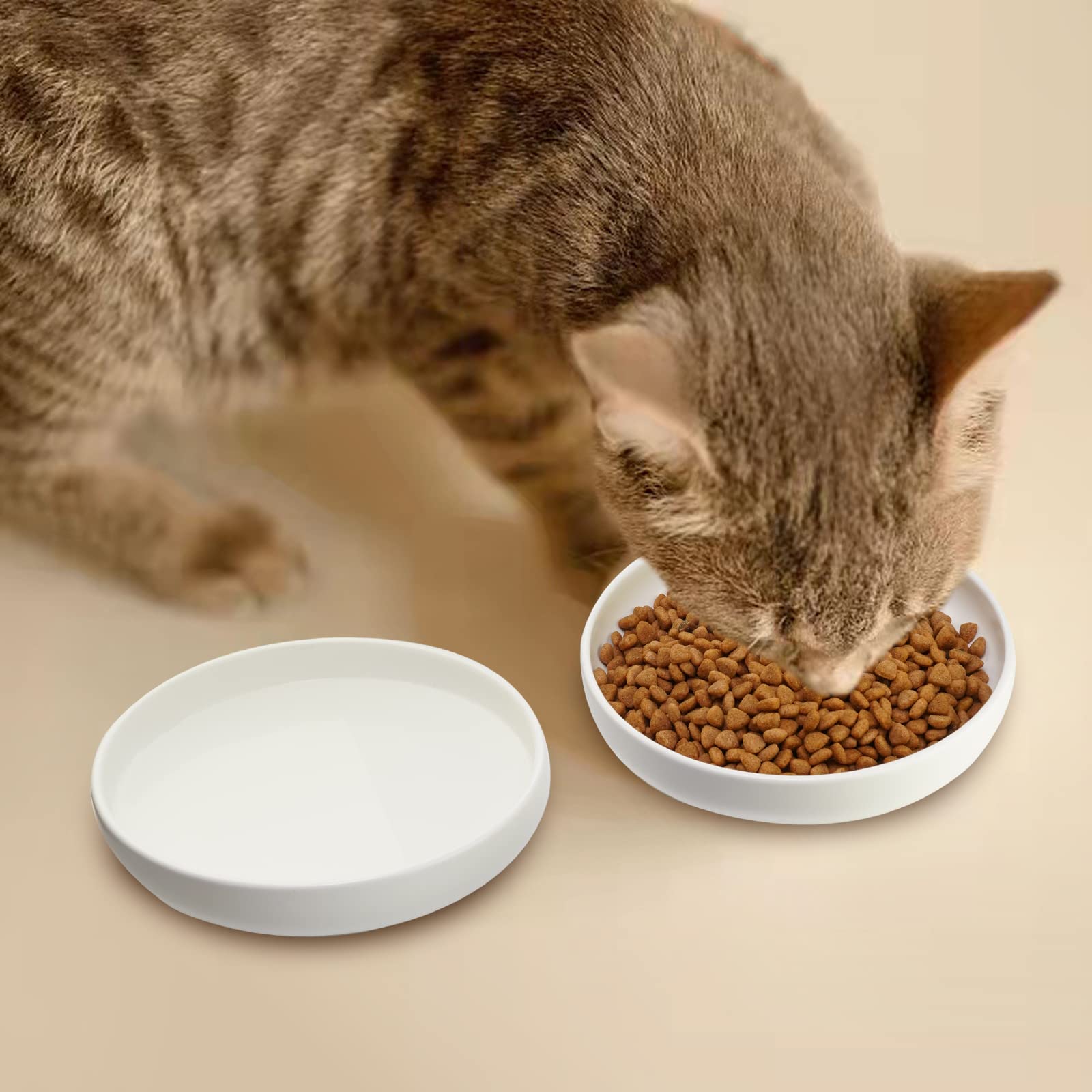 Lfpkixise Ceramic Cat Bowls Set of 3 - 6.1" Matte Finish, Whisker Fatigue Free, Dishwasher Safe, White Color