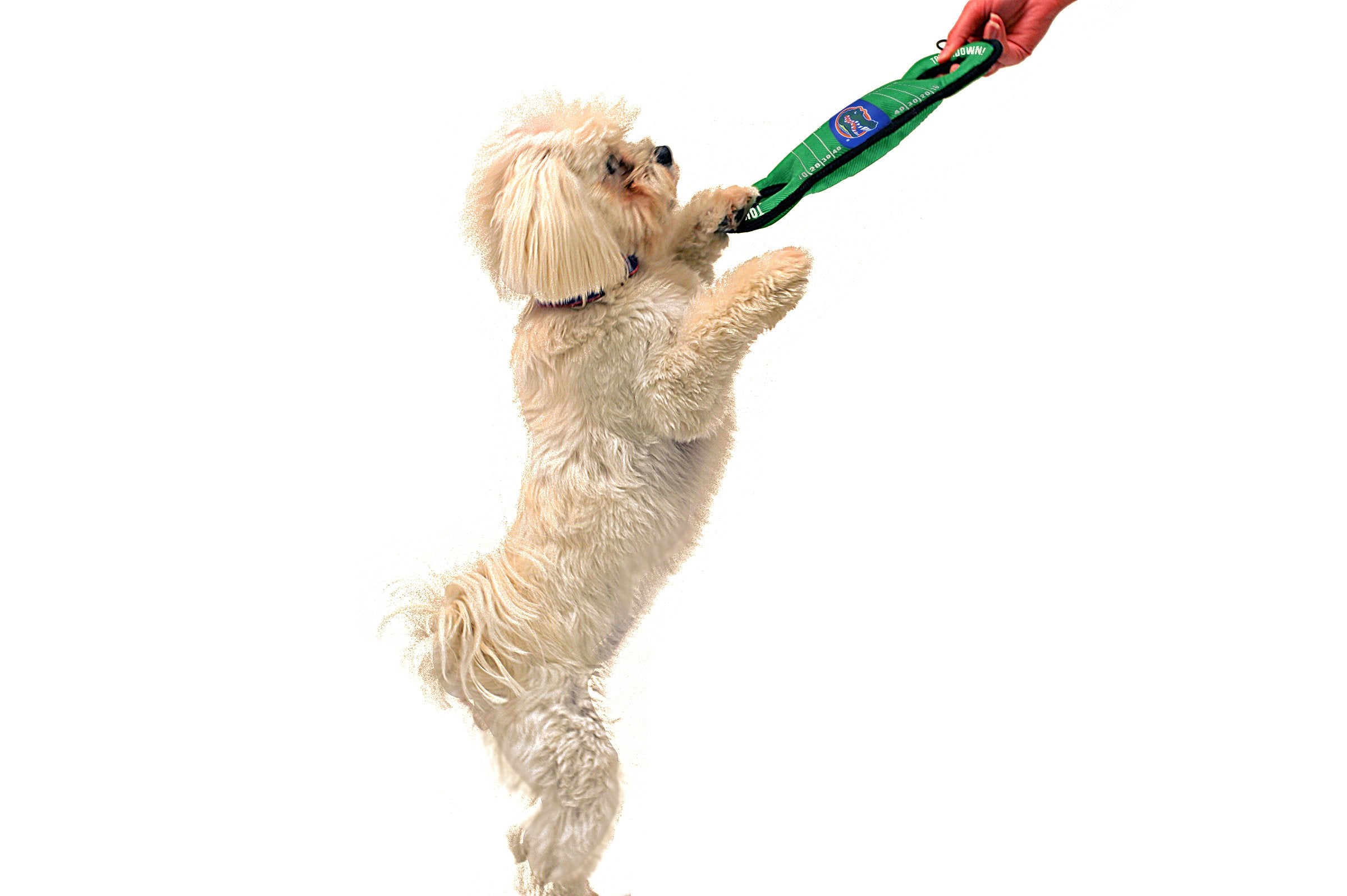 Pets First Florida Field Toy, X-Large (Fl-3030)