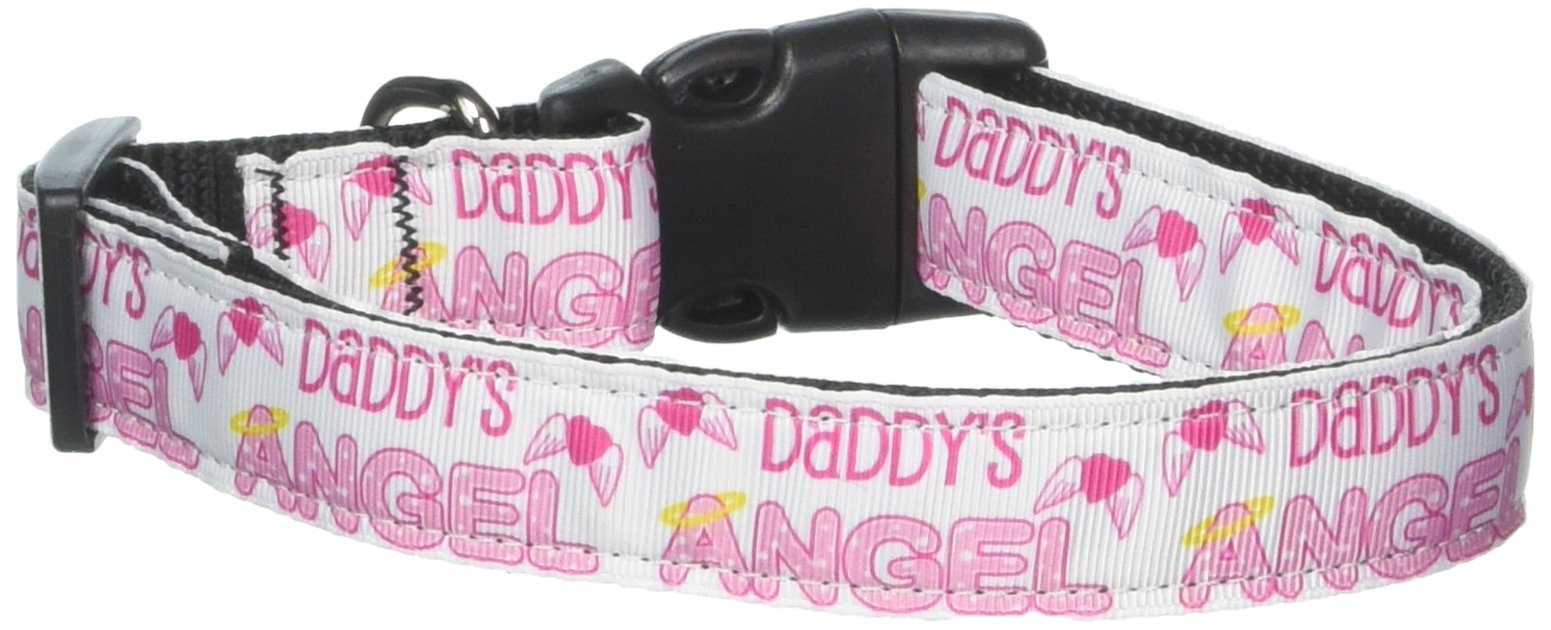 Pet Dog & Cat Nylon Collar or Leash, "Daddy's Angel" LG Collar