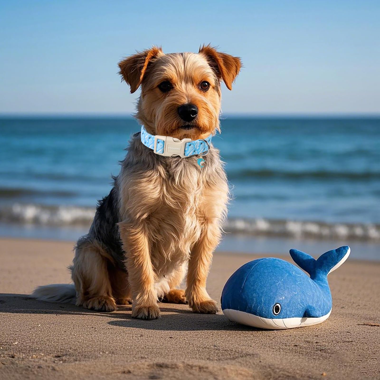 Dogwong Summer Dog Collar, Cute Blue Whale Dog Collars, Adjustable Summer Shark Pet Collars Boy Male Coastal Beach Necklace For