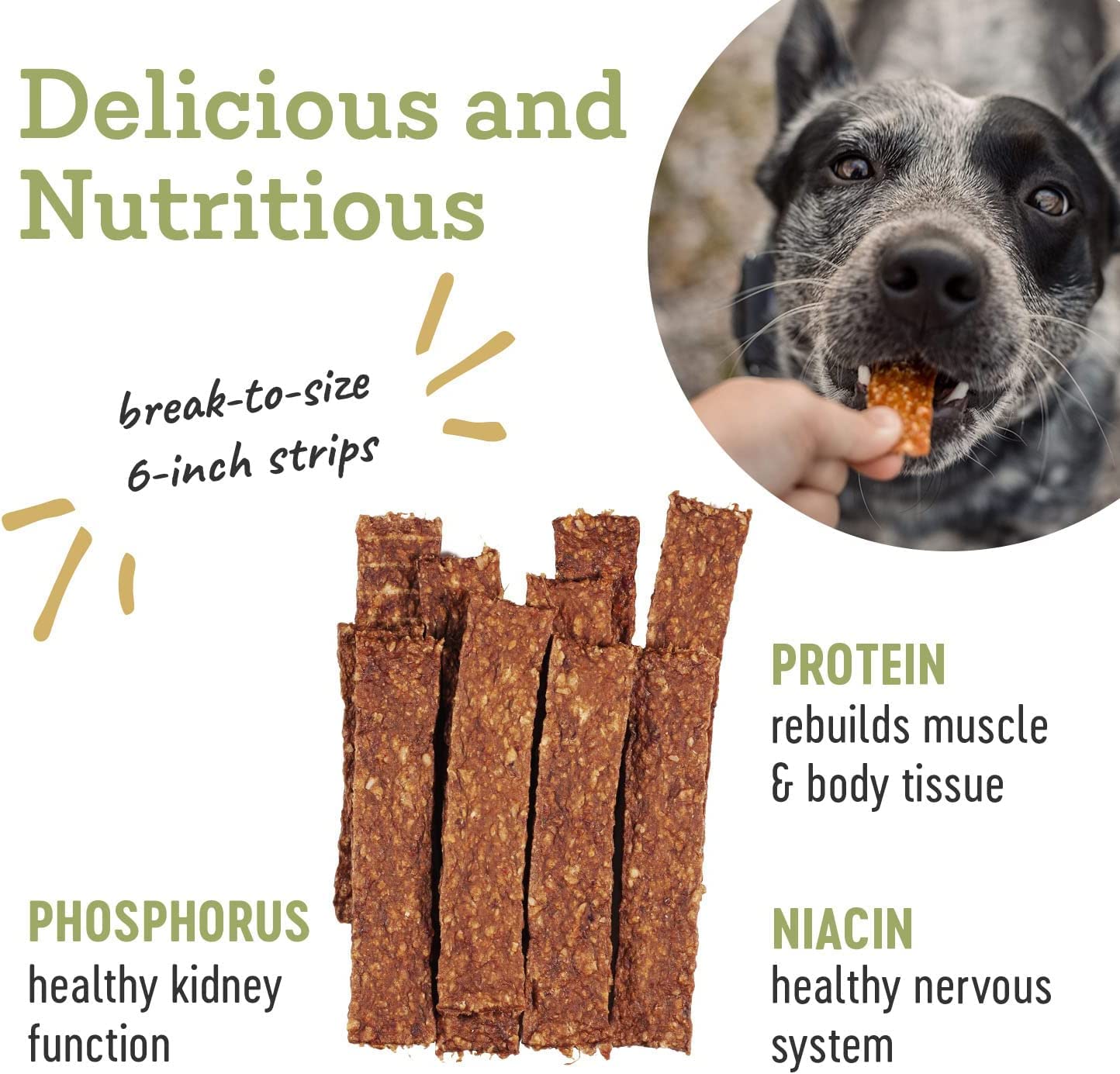 Farm Hounds - Turkey Strips - Premium Natural Jerky for Dogs - from 100% Humanely Raised Turkey - Break-to-Size - Great for Trai