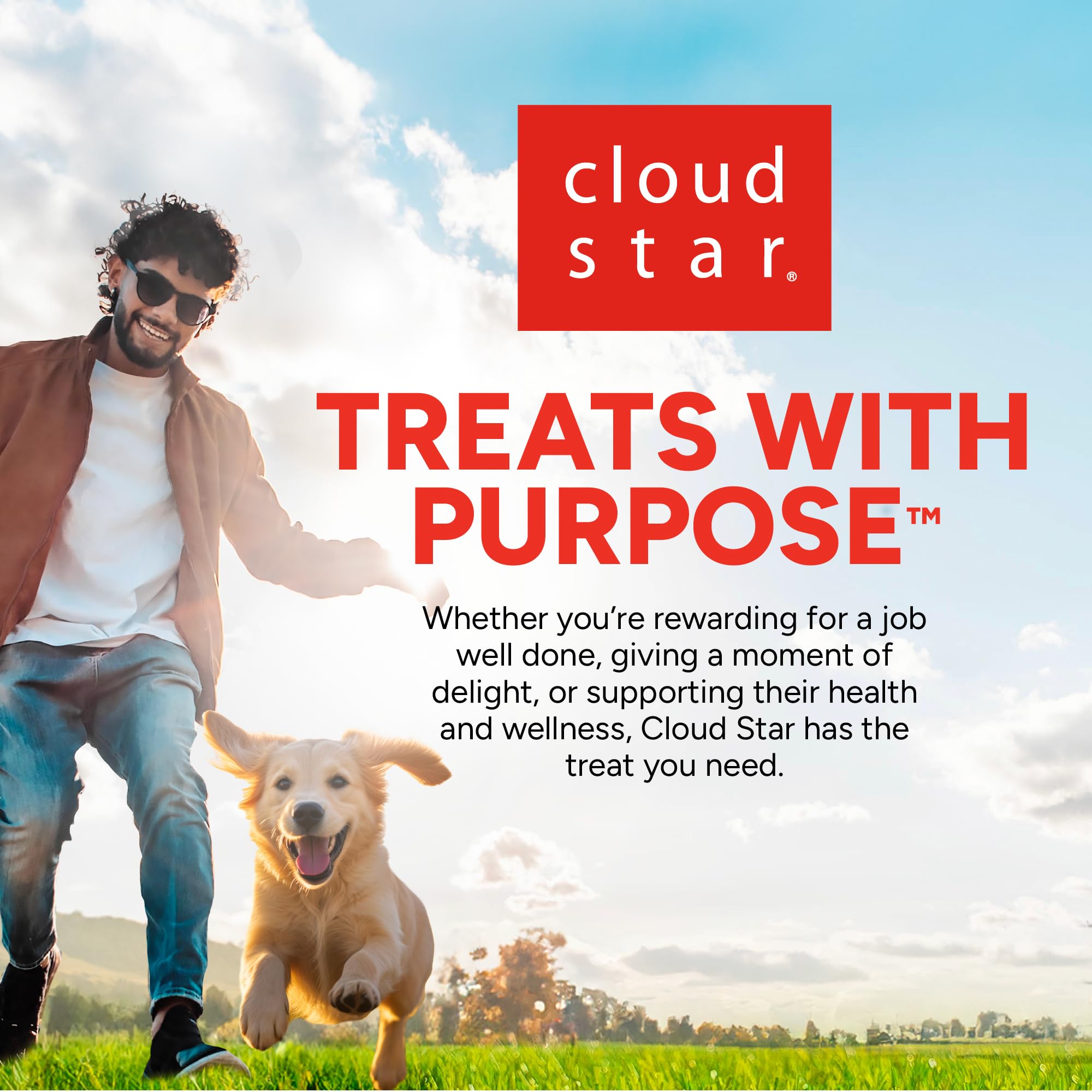 Cloud Star Wagmore Dog Meatball Grain Free Lamb 14Oz
