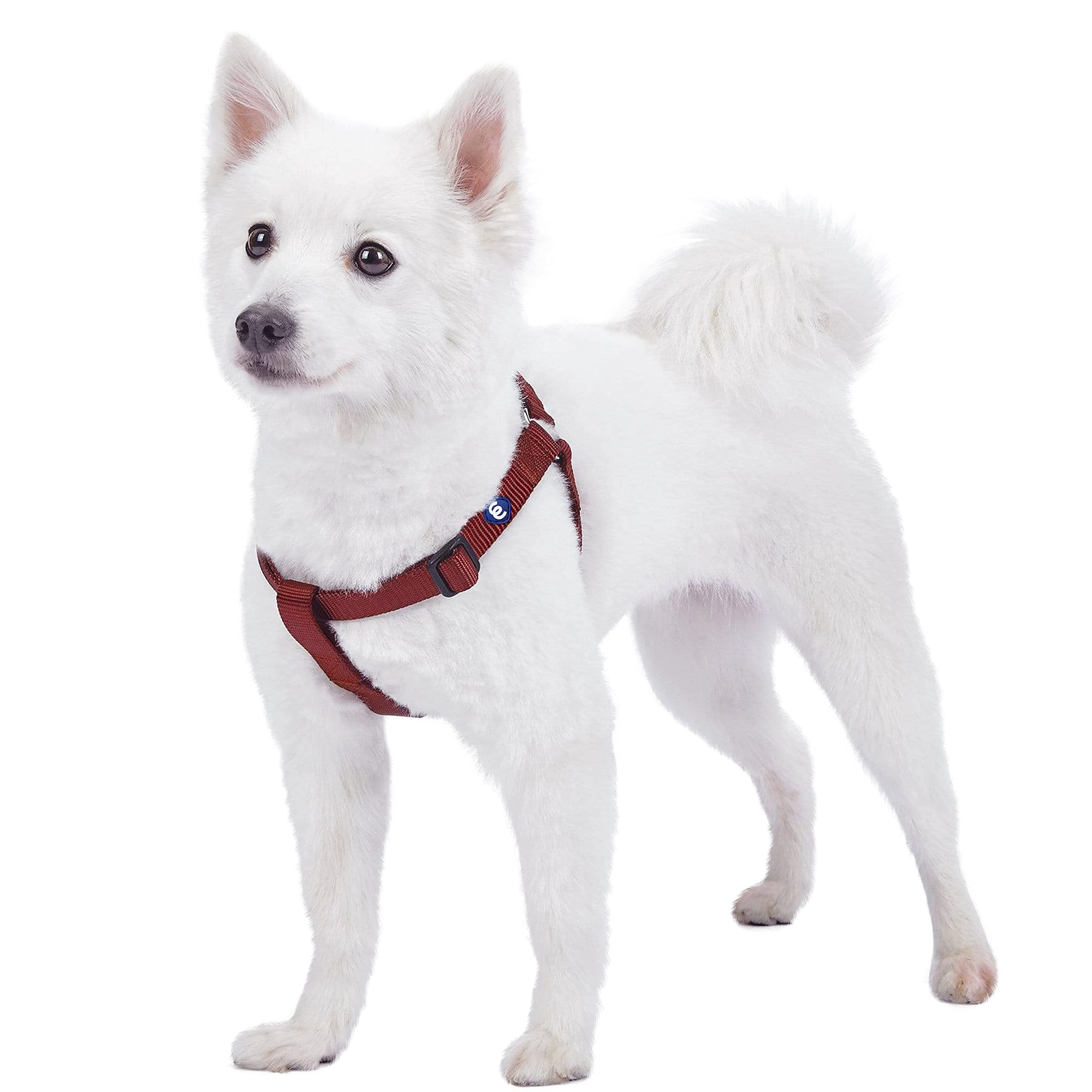 Blueberry Pet Essentials Classic Durable Solid Nylon Step-In Dog Harness, Chest Girth 20' - 26', Fired Brick, Medium, Adjustable Harnesses For Puppy Boy Girl Dogs