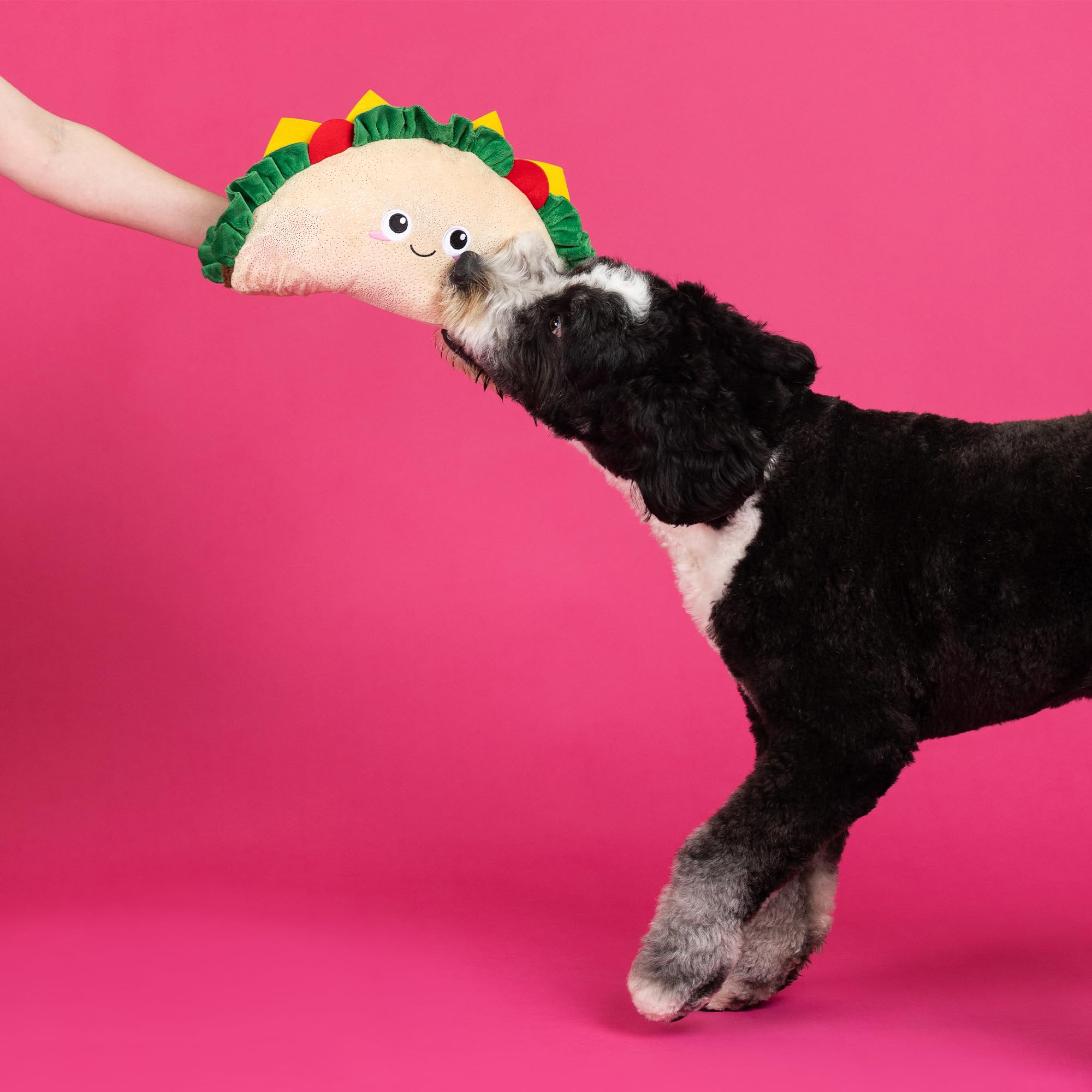 Fringe Studio Large Plush Dog Toy, FANTAS-Taco!, Pet Shop Collection (728023)