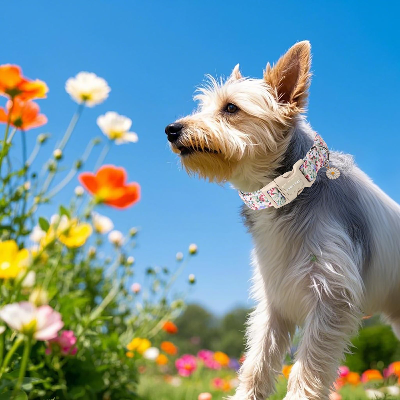 Aring Pet Floral Dog Collar-Cute Purple Flower Dog Collars, Adjustable Floral Pet Collars Puppy Collar With Quick Release Buckle