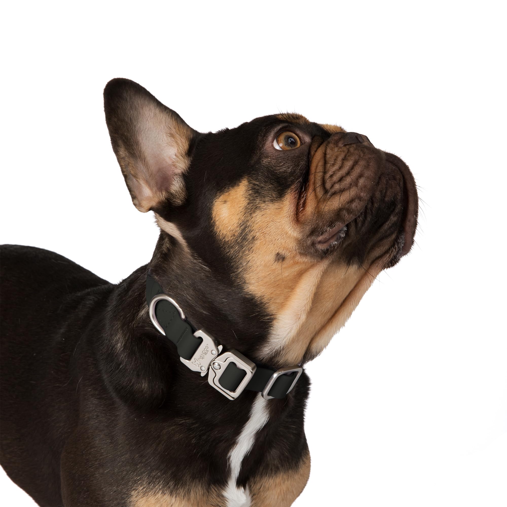 Nandog The Signature Collection Waterproof Poly-Flex Sport Dog Collar In Small, Black - Durable & Adjustable - Secure Double Lat