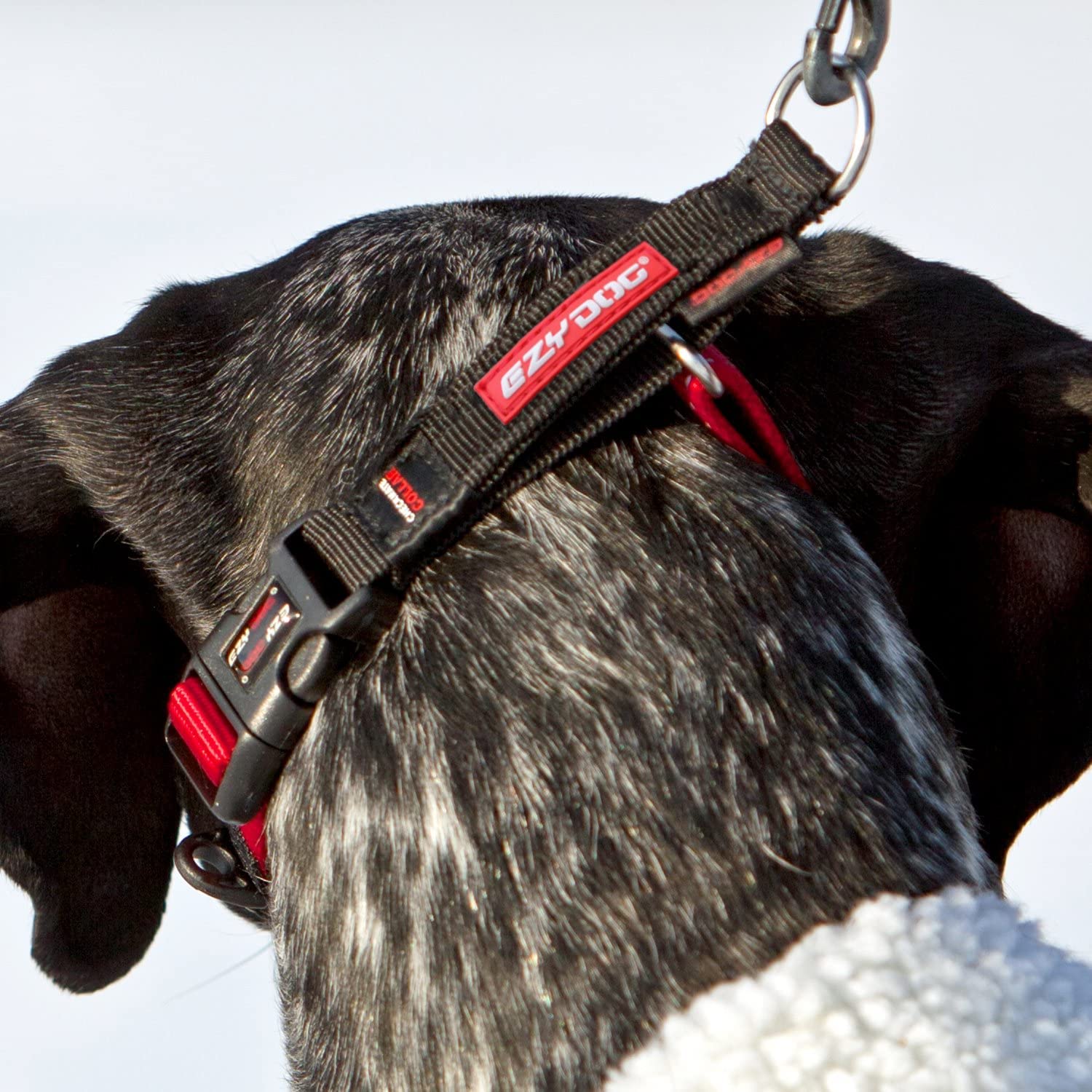 Ezydog Checkmate Martingale-Style Premium Nylon Safety Training And Correction Dog Collar - Quick-Clip Buckle And Reflective Stitching - Easy Control With No Choking Effect (Large, Red)