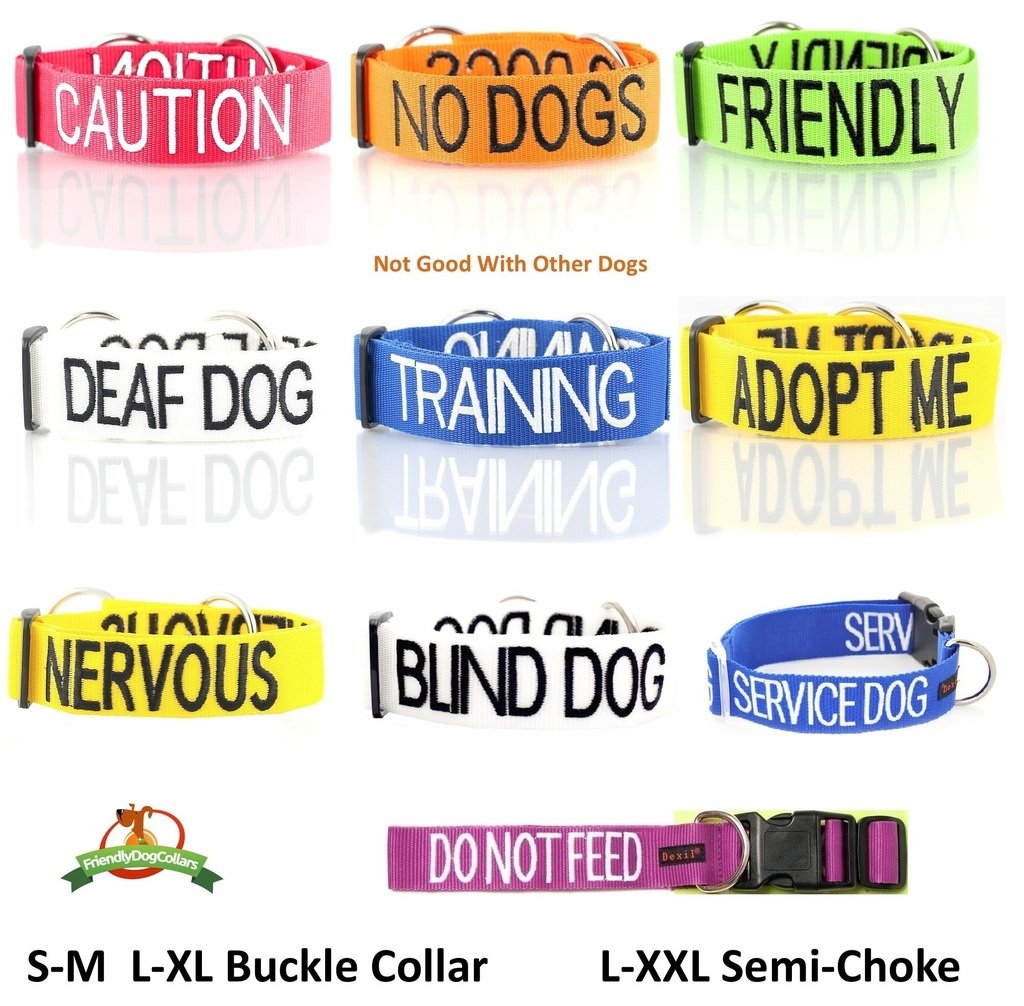 Nervous (Give Me Space) Yellow Colour Coded S-M L-Xl Dog Collars Prevents Accidents By Warning Others Of Your Dog In Advance (L-Xl)