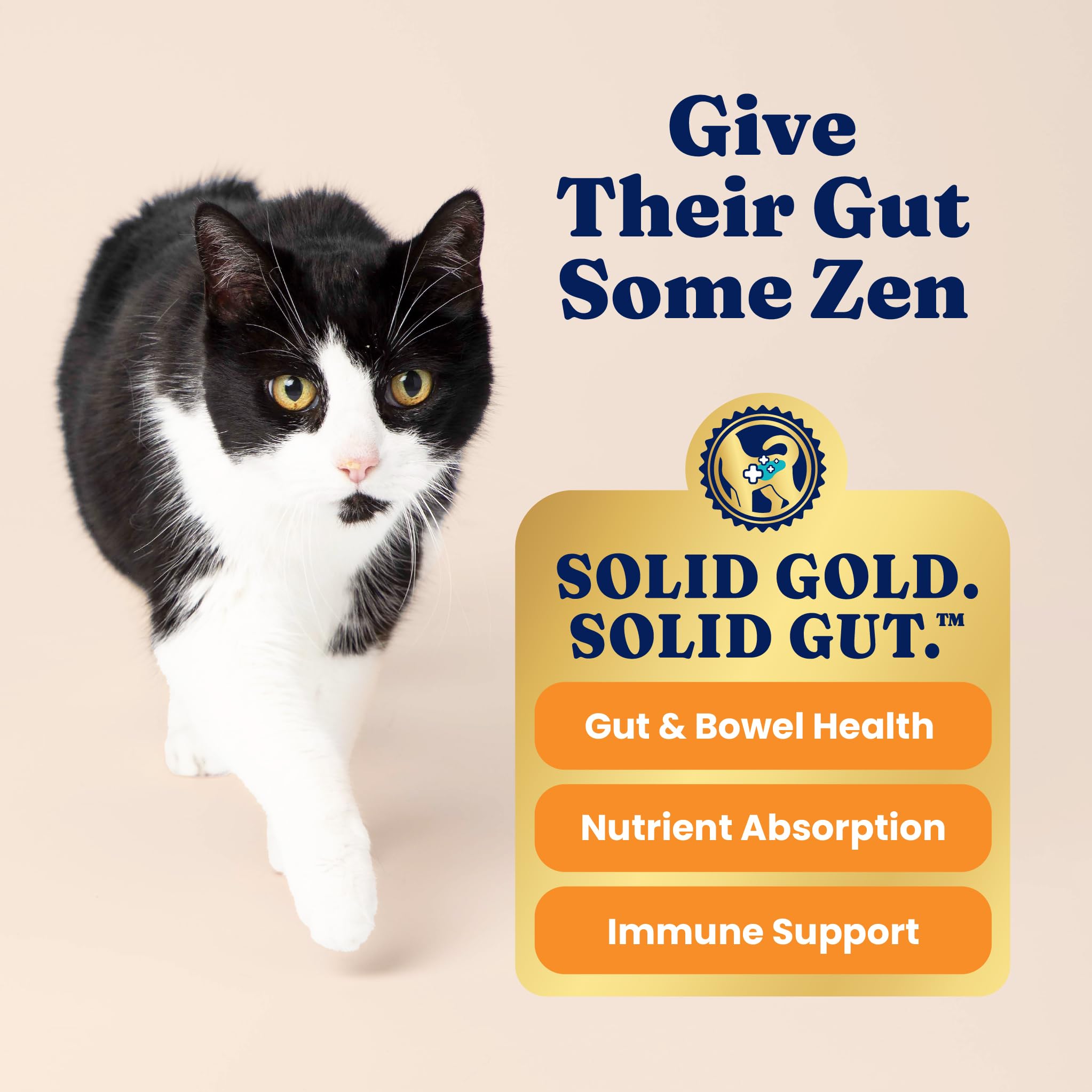 Solid Gold Dry Cat Food for Indoor Cats of All Ages - W/Lamb, Brown Rice, Barley, Probiotics & Fiber for Gut Health- Holistic &
