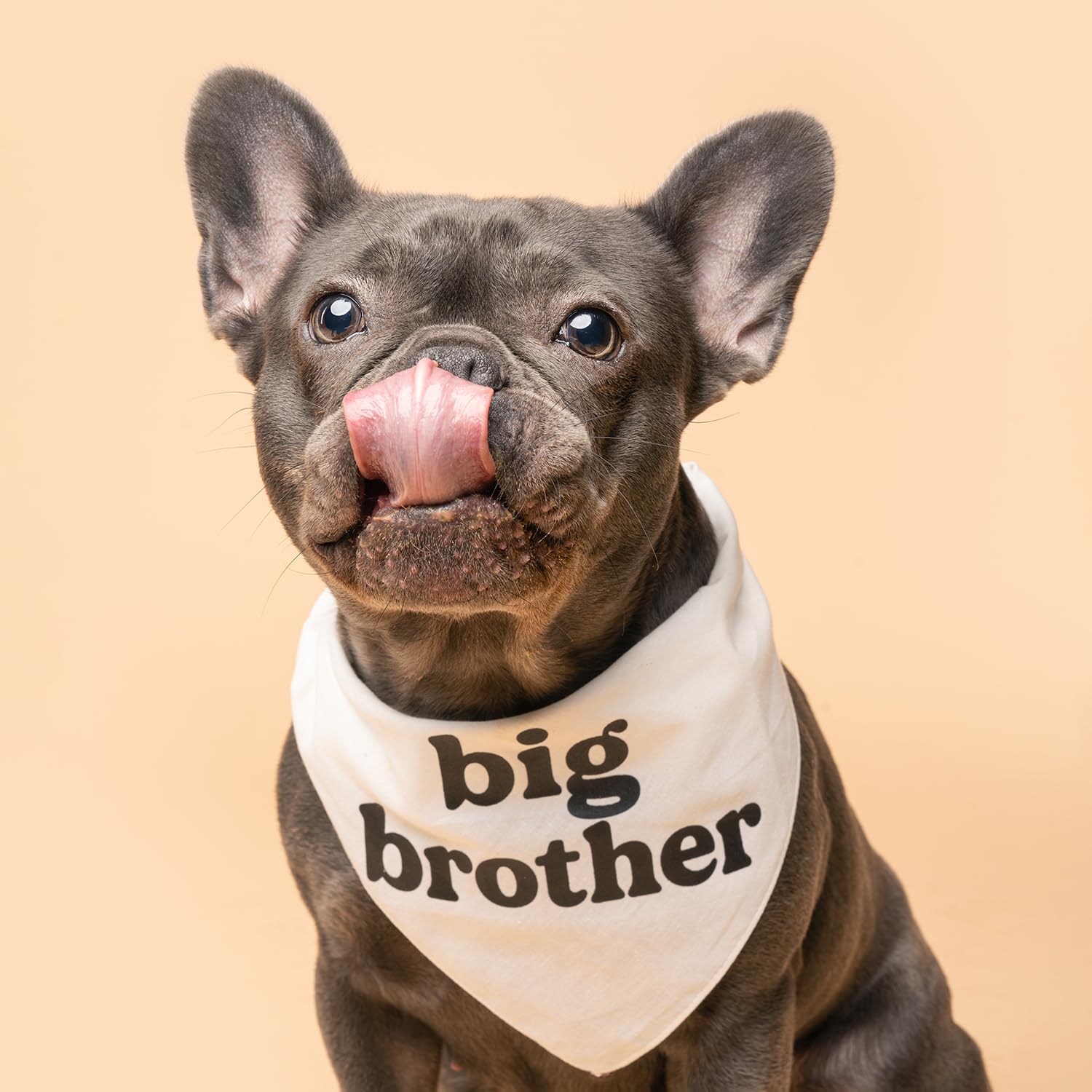 Big Brother Dog Bandana | 100% Unbleached Cotton Adjustable Triangle | Pregnancy Announecment | New Baby Matching Family | Natur