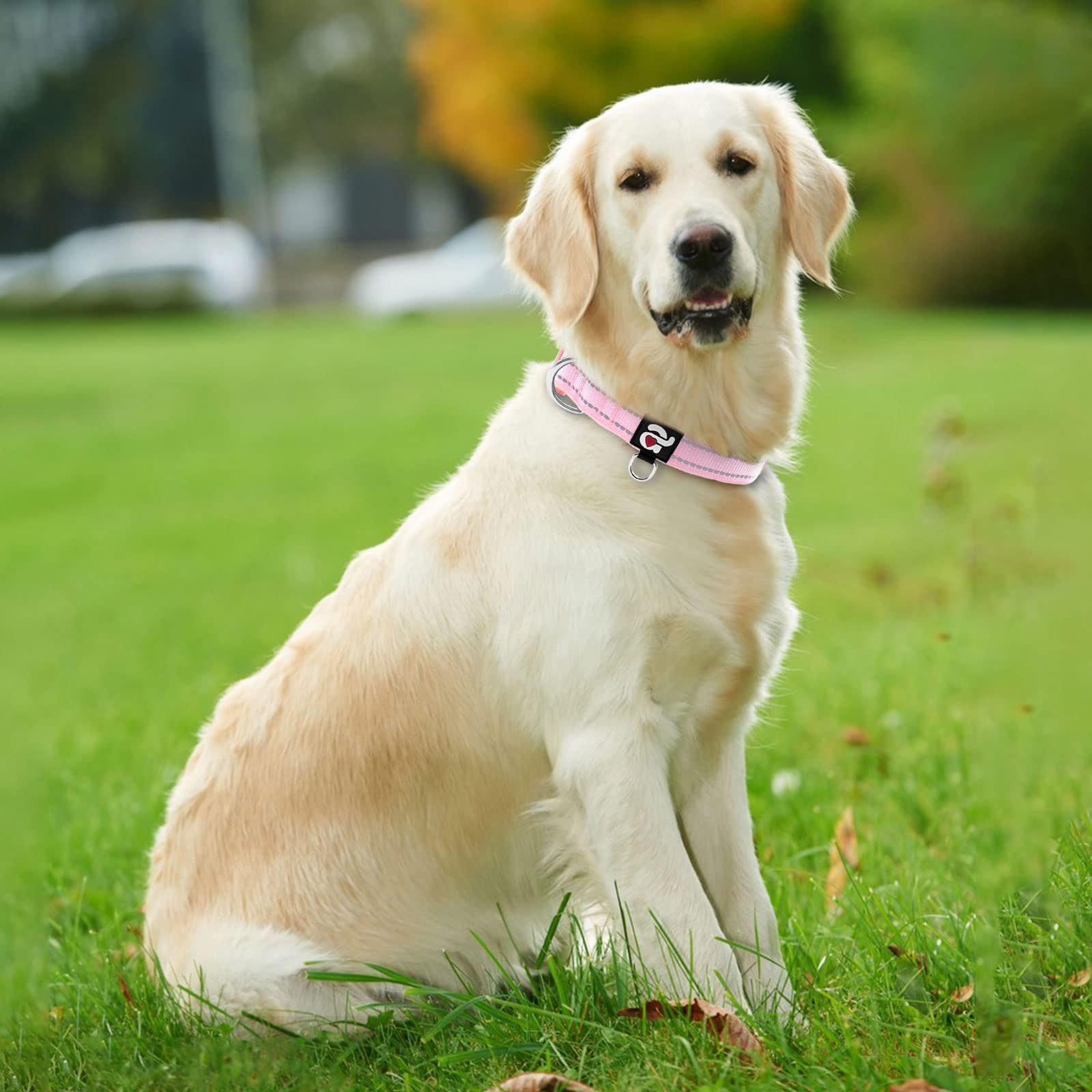 Azuza Reflective Dog Collar,Soft Neoprene Padded Pet Collar With Id Tag Ring,Adjustable For Large Dogs,Pink,L