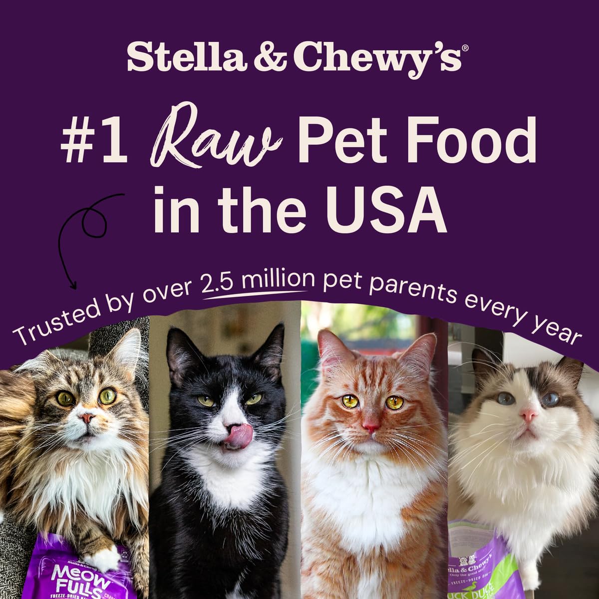Stella & Chewys Freeze-Dried Raw Cat Dinner Morsels - Premium Pork Recipe with 98% Responsibly-Sourced Meat & Organs - Natural