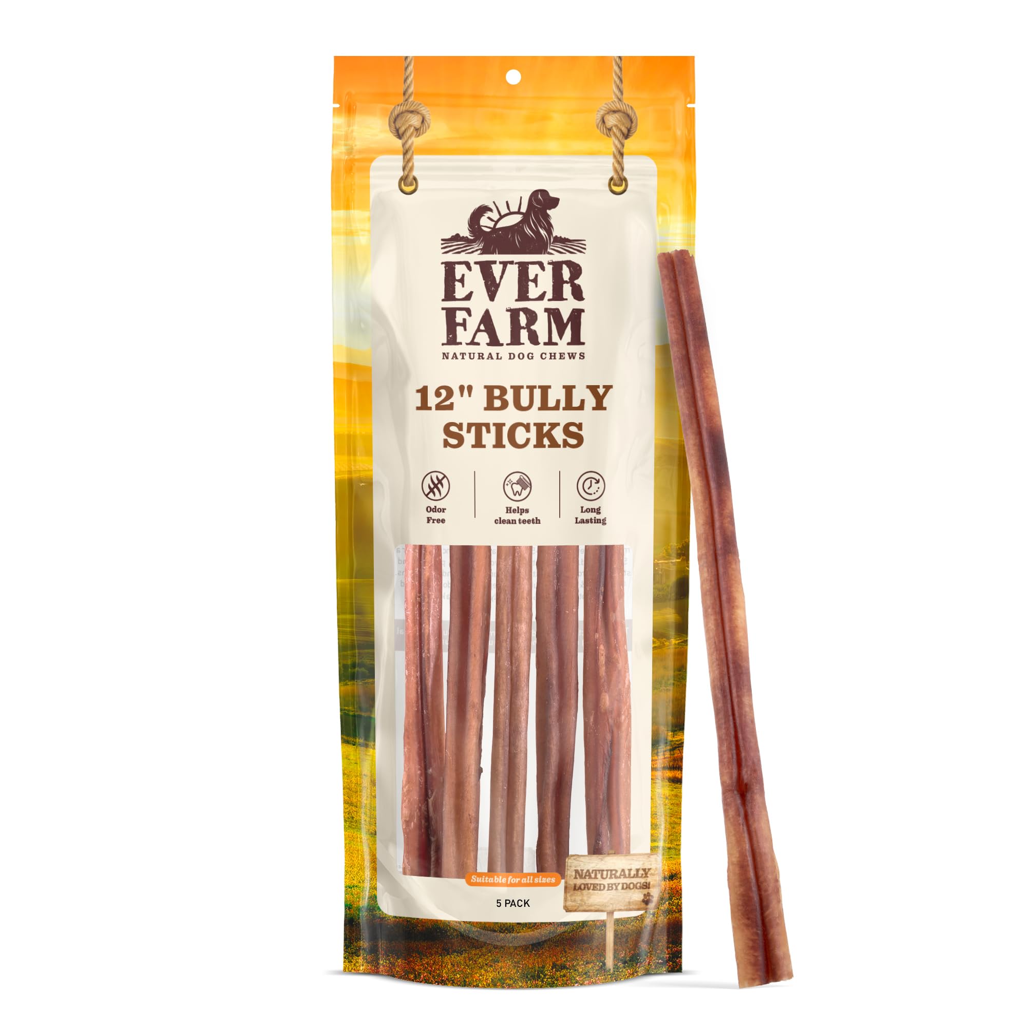 EVER FARM Pet Odor-Free Standard Bully Sticks (12, 5 Pack) - 100% Grass-Fed Beef Pizzle Dog Chews, Fully Digestible & Long-Lasti