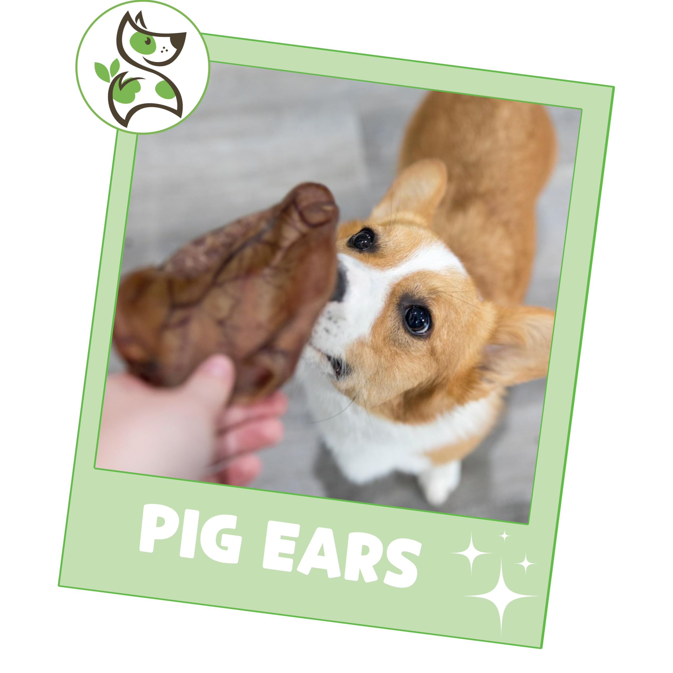 Nature Gnaws Pig Ears for Dogs (15 Count) - Thick Long Lasting for Aggressive Chewers and Large Dogs - Natural Pork Dog Chew Bon