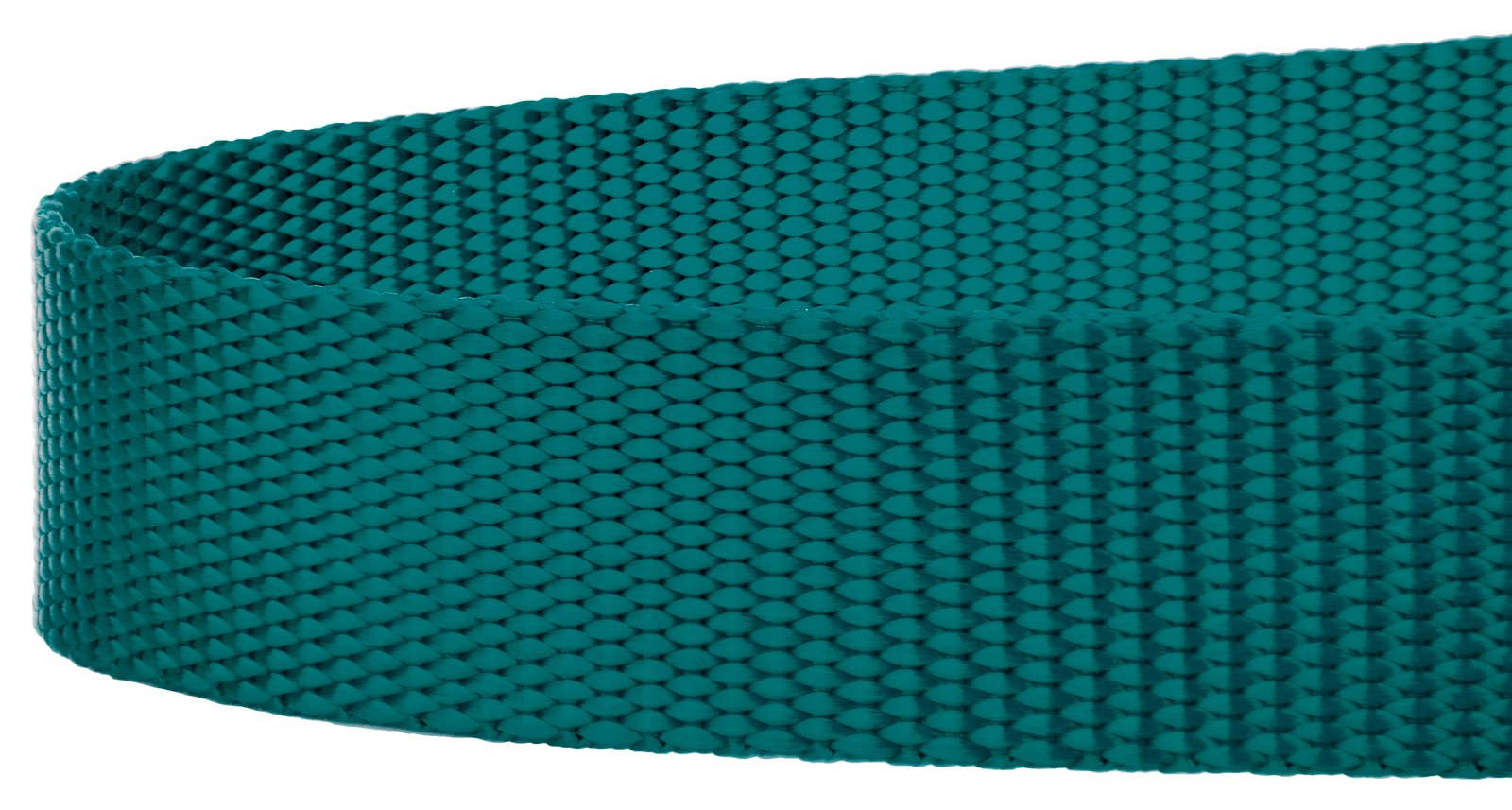Country Brook Petz - 1 Inch Solid Color Nylon Dog Leash - Durable Clip - Soft Handle (1 Inch Wide, 6 Foot, Teal)