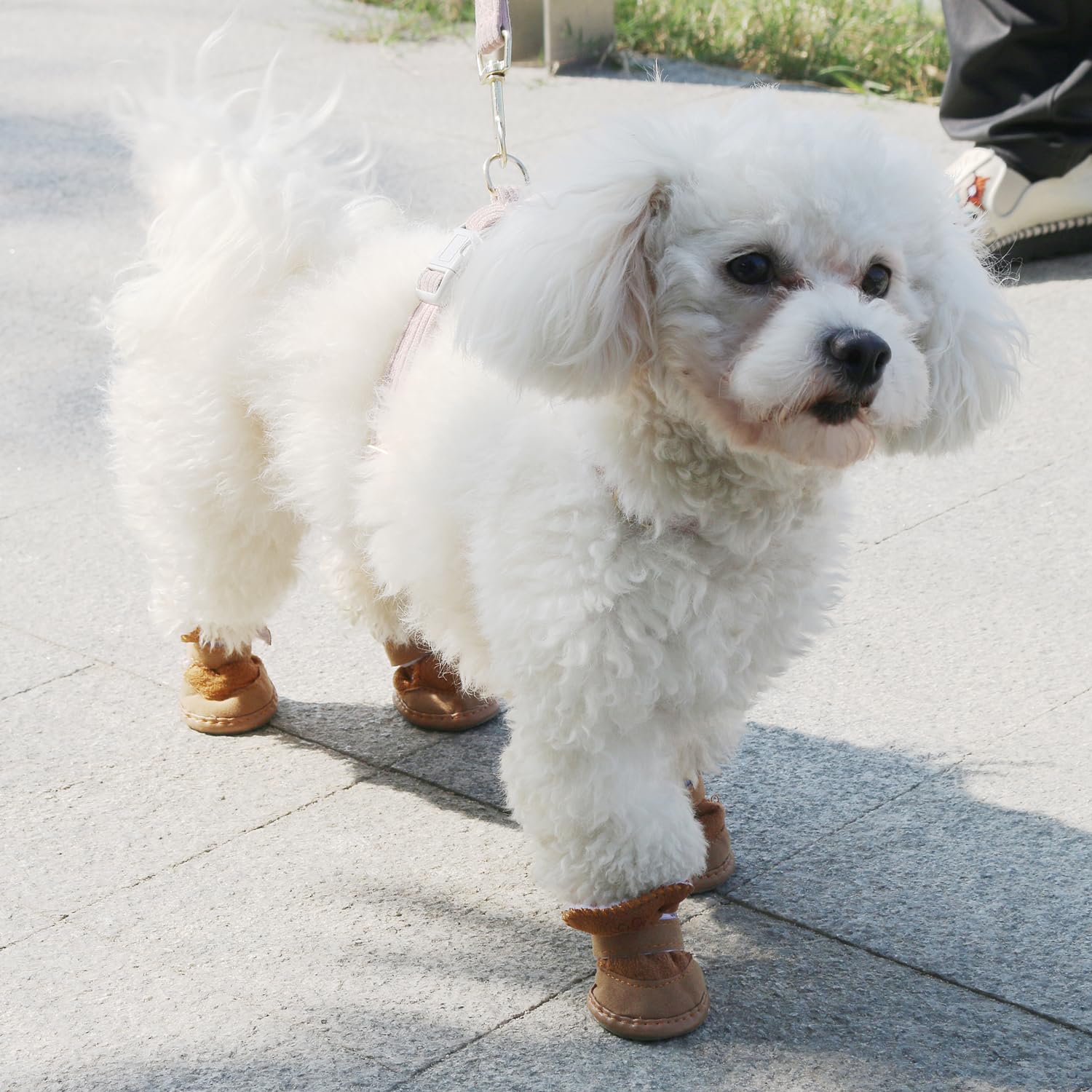 Urbest Dog Shoes With Hook Loop Closure Booties Pet Dog Chihuahua Shoes Boots, 4Pcs (1#, Brown)