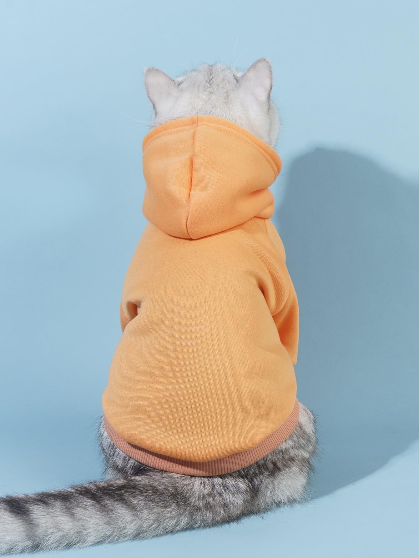Qwinee Basic Dog Hoodie, Dog Warm Jacket, Cat Apparel, Dog Shirt, Dog Clothes For Puppy Kitten Small Medium Dogs Cats Orange Xl