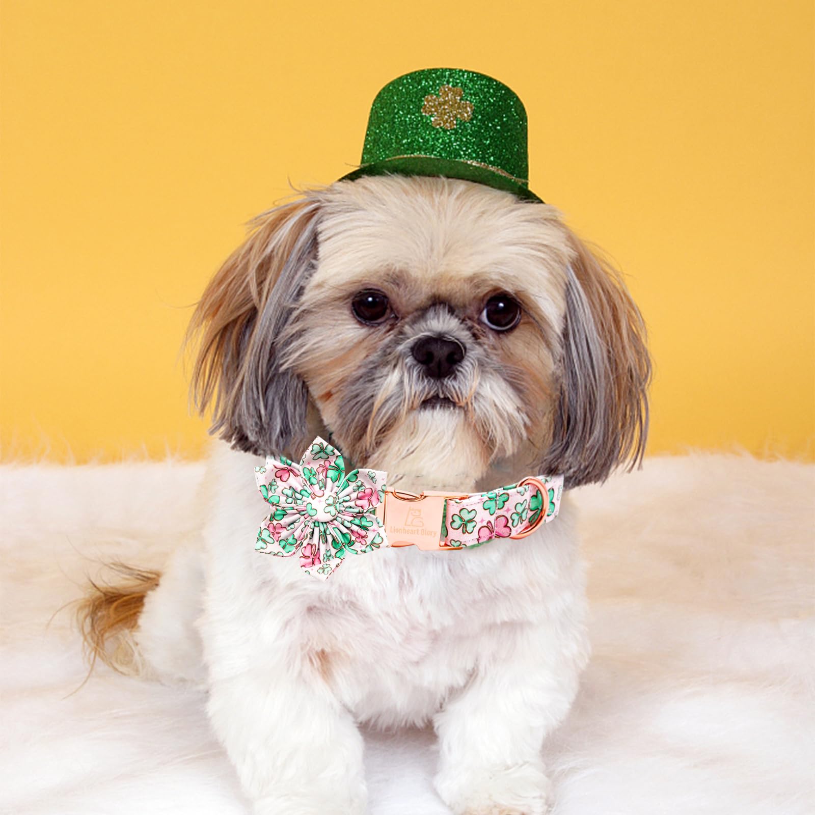 Lionheart Glory St. Patrick'S Day Collar With Flower Design For Medium Dogs, Green Shamrock Collar With Heavy Duty Bows