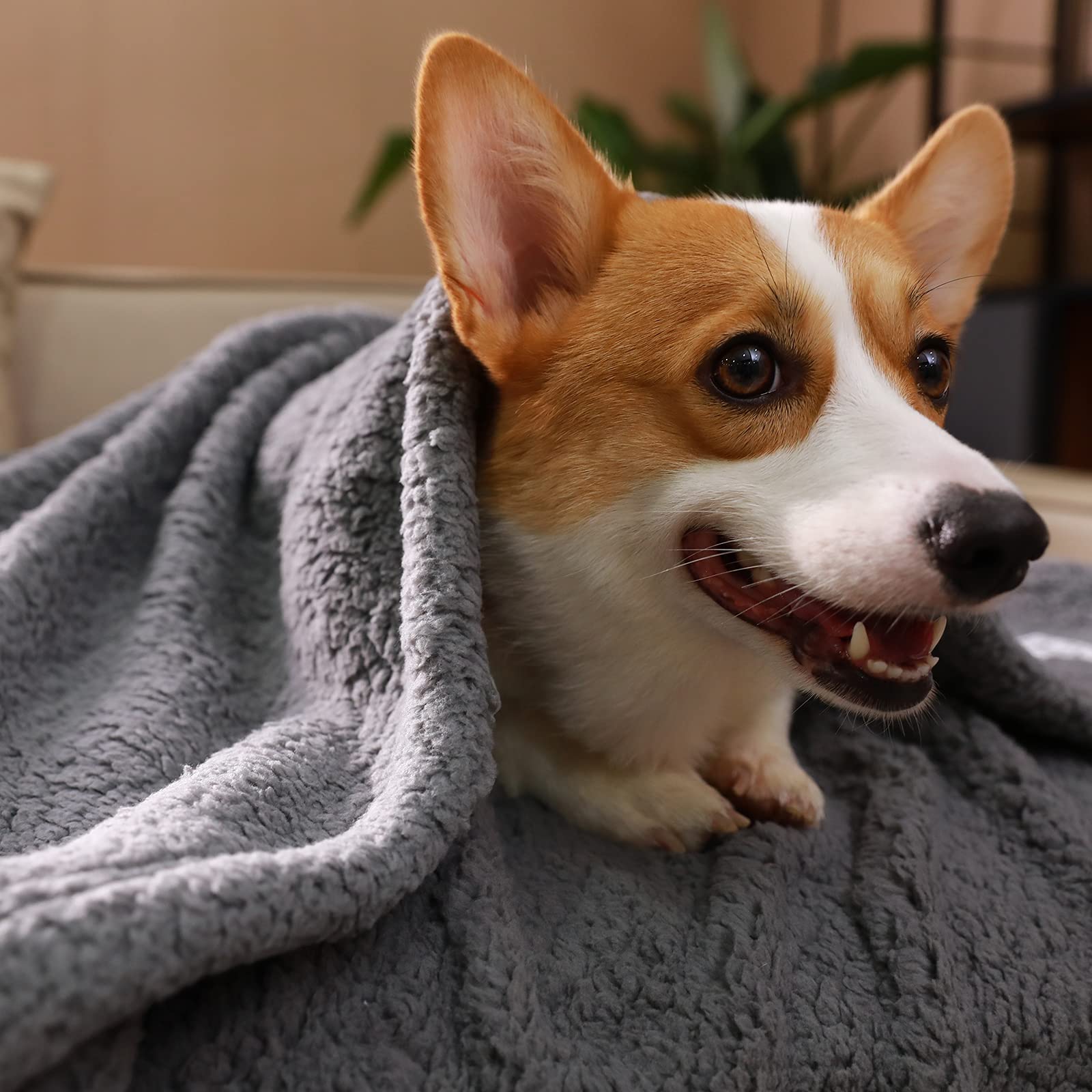 1 Pack 3 Calming Blankets Fluffy Premium Fleece Pet Blanket Soft Sherpa Throw For Dog Puppy Cat Grey Small (23' X16'')
