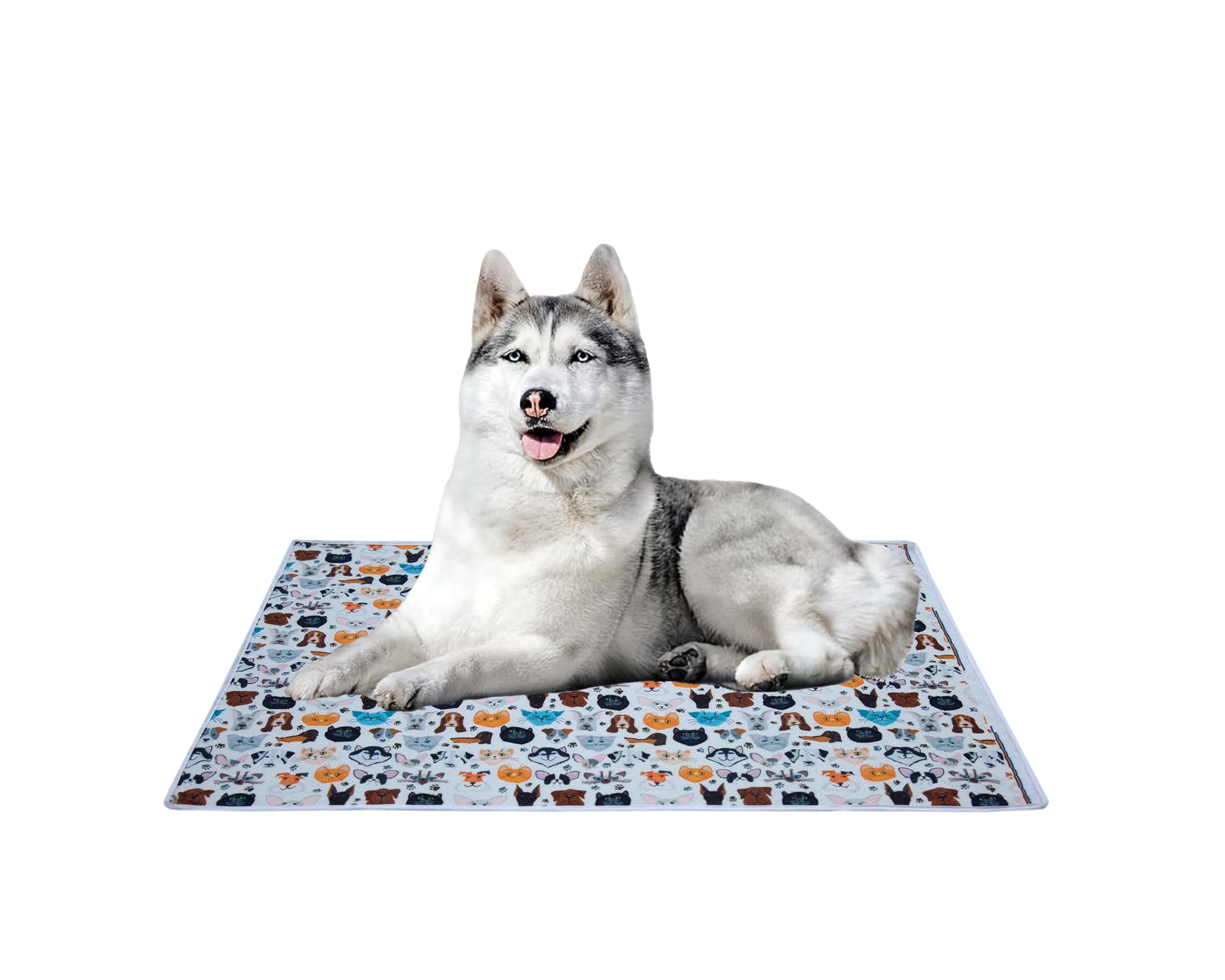 Aazeem Soft Light Weight Mat For Dogs, Cats & Pets, Skin Friendly Mat| Floormat | Pet Area Carpet | AntiSpill 27 X 40 Inches |C