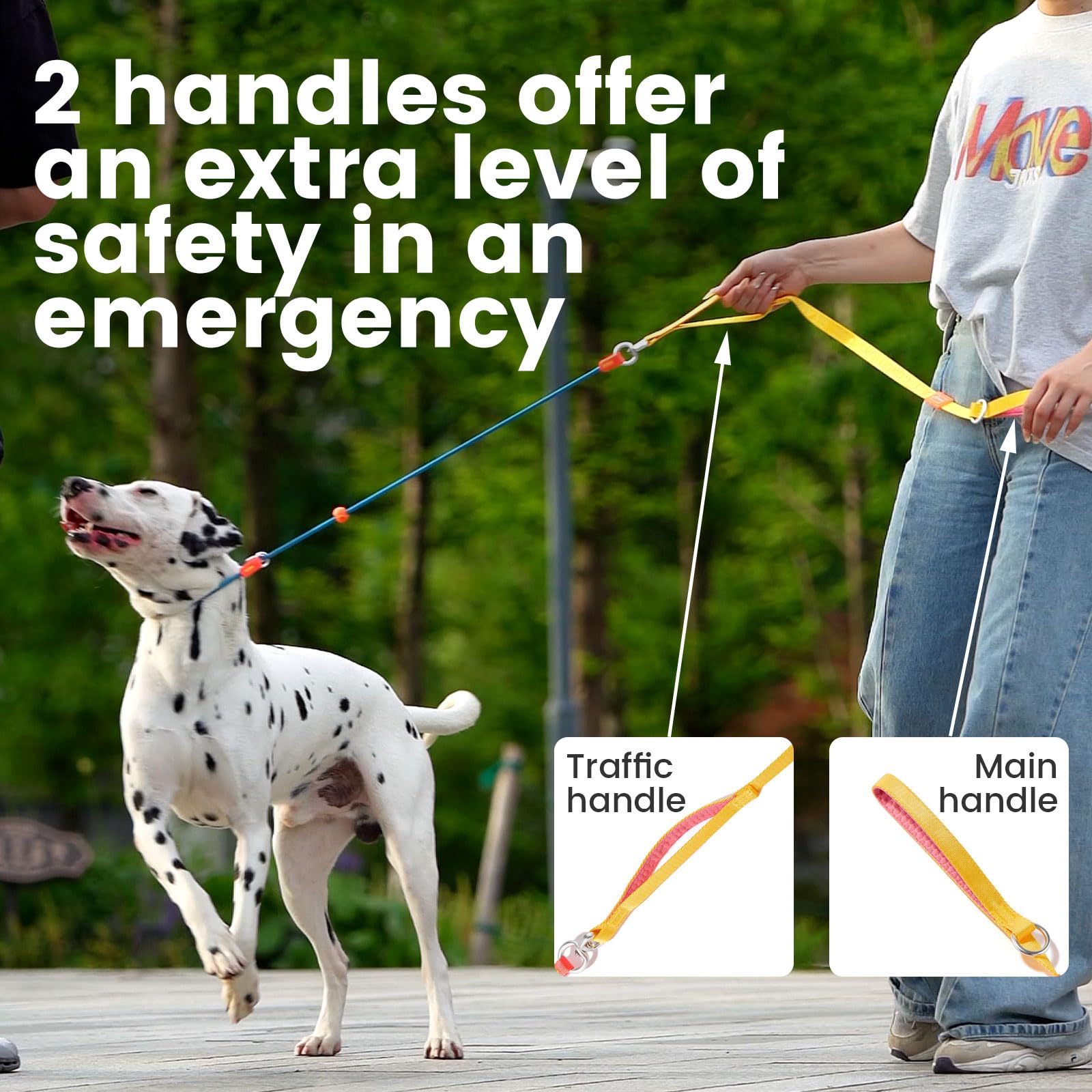 Slip Lead Dog Leash With Double Handles | Reflective Dog Training Leash With 360 Swivel Anti-Tangle | Heavy-Duty Leash And Colla
