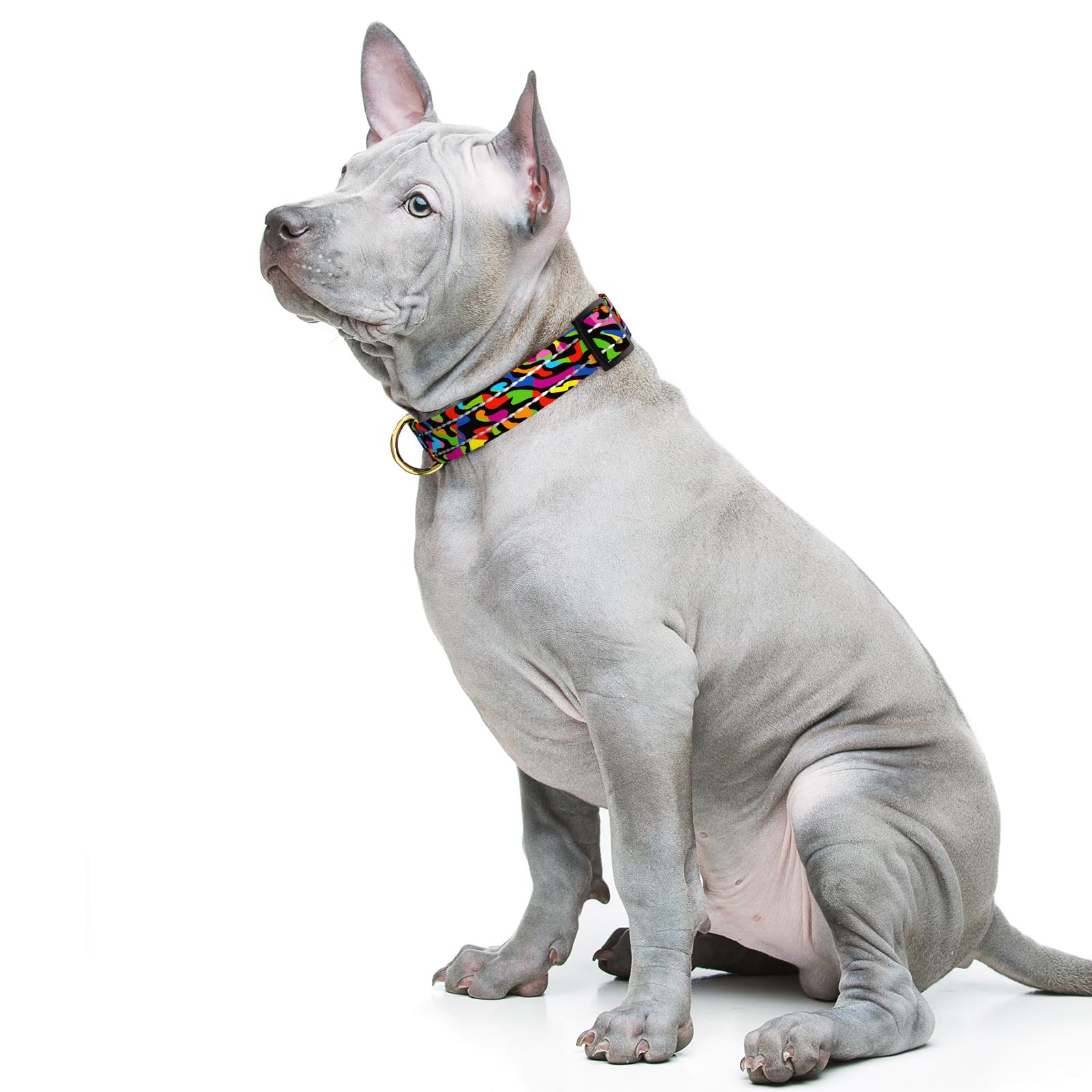Tmoodel Reflective Dog Collar For Medium Dogs, Cute Boho Adjustable Heavy-Duty Nylon Puppy Collar For Boy And Girl Female, Soft