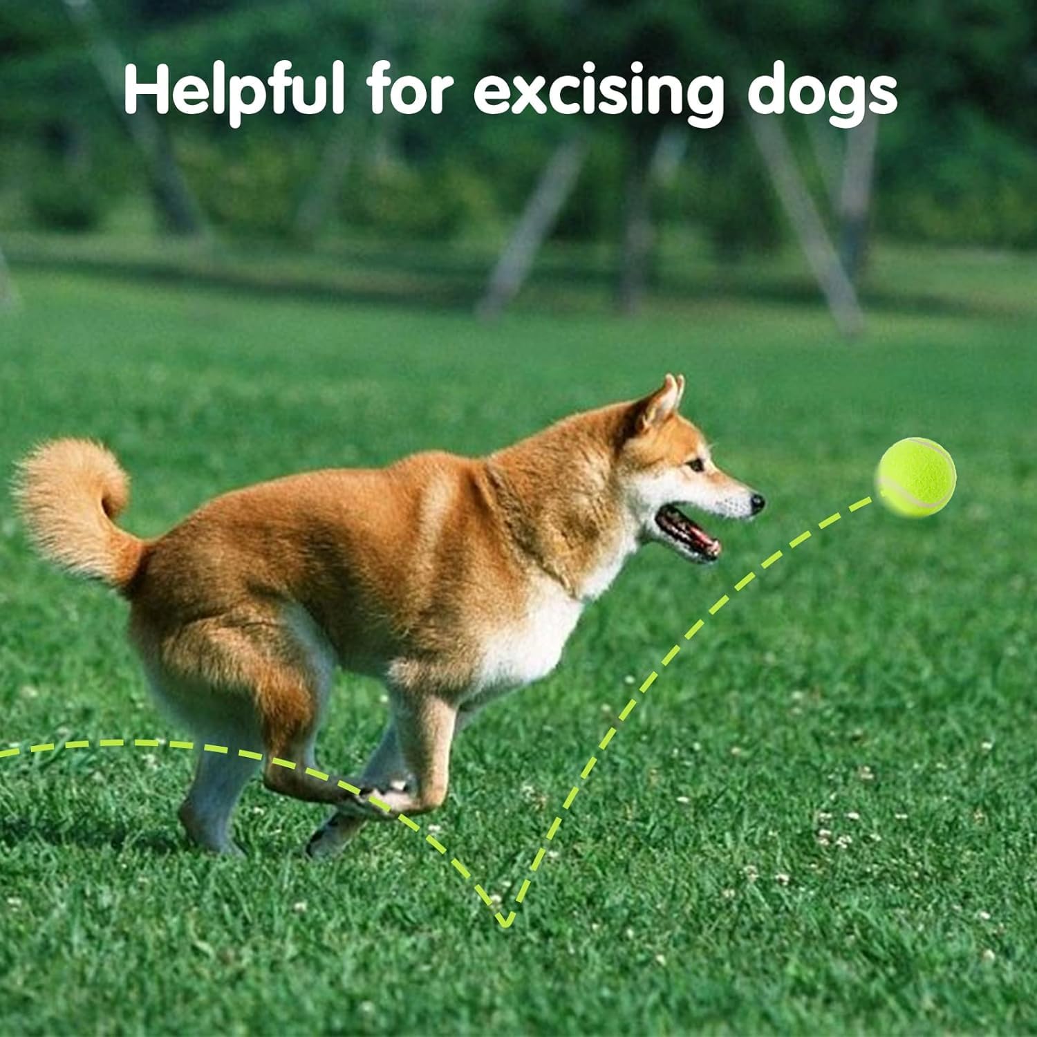 Mekaple 6 Pack Mini Tennis Balls For Pet Playing Fecth, 2 Inch Dogs Training Tennis Balls For Small Size Dogs, Interactive Dog P
