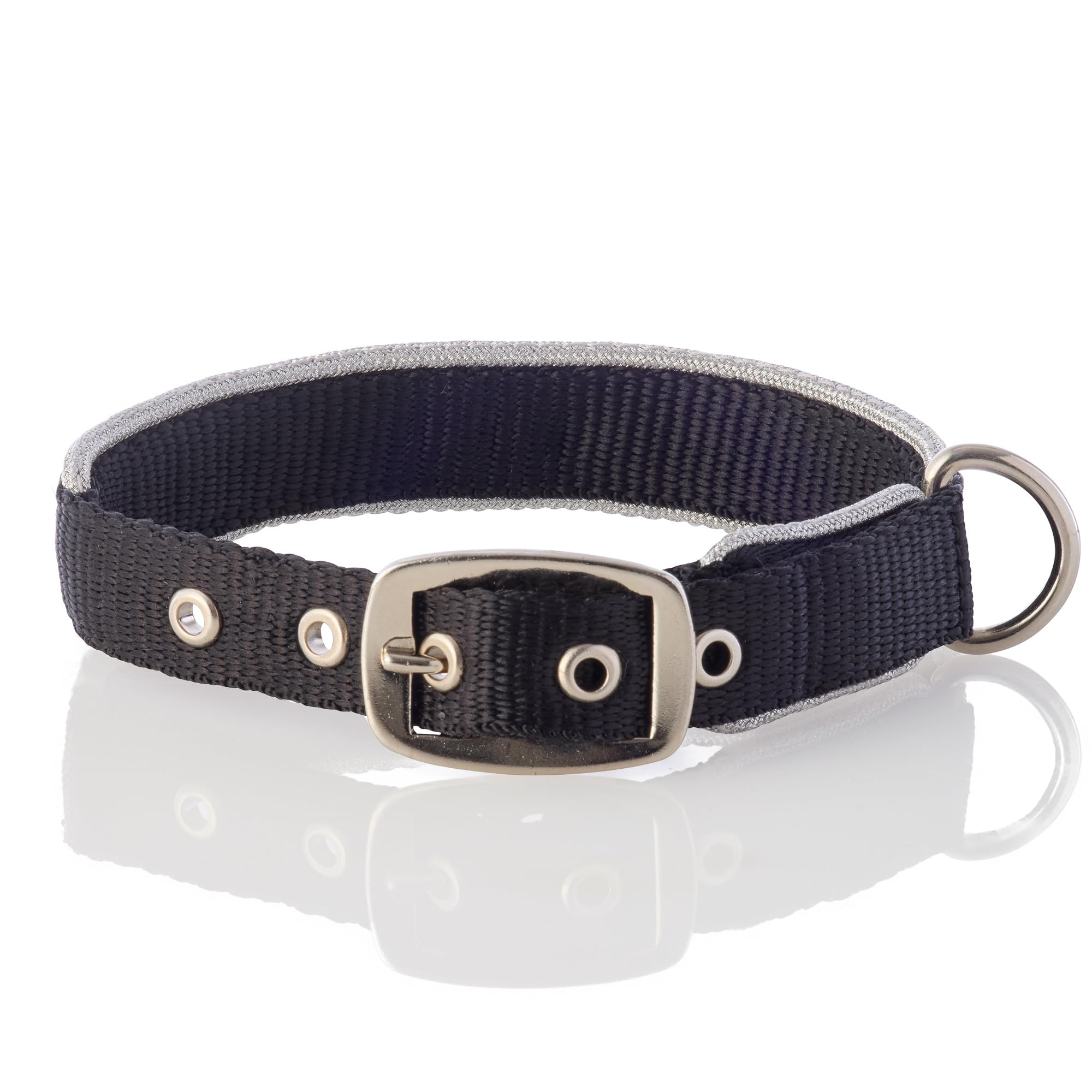 Pet Passion Adjustable Silver Trimmed Dog Collar For Pets Small, Medium And Large Dogs, Silver Black, Large