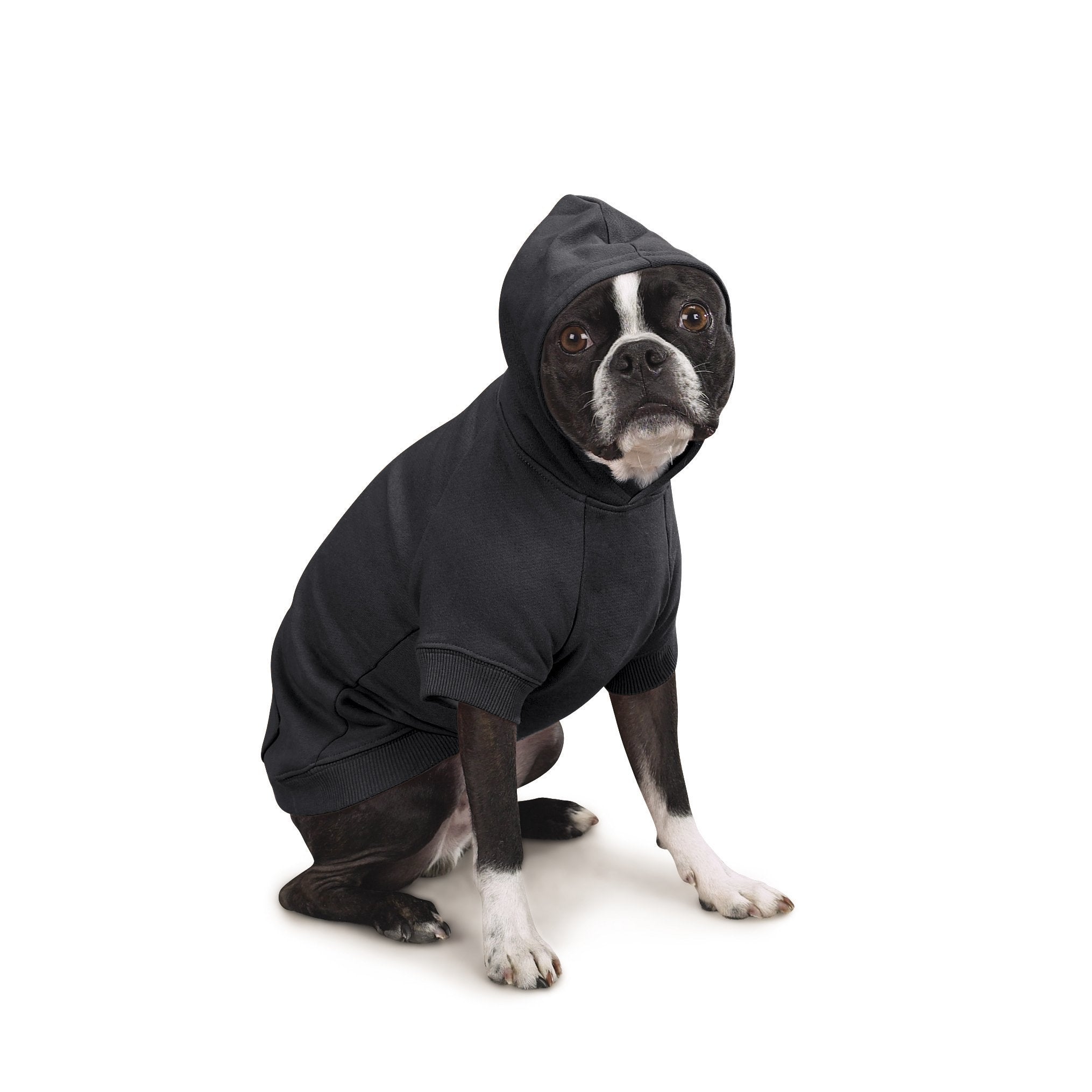 Zack & Zoey Basic Hoodie For Dogs, 20' Large, Jet Black