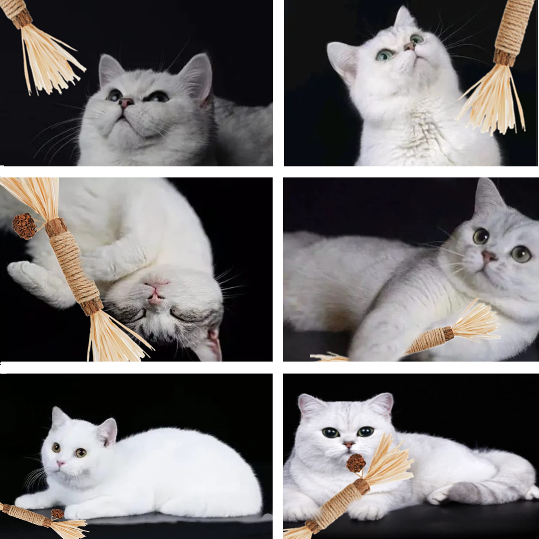 GREMBEB Cat Toys - 4 Pack Silvervine Chew Sticks for Dental Care & Interactive Play - Natural Wood for Cats, Kittens, Hamsters, and Rabbits