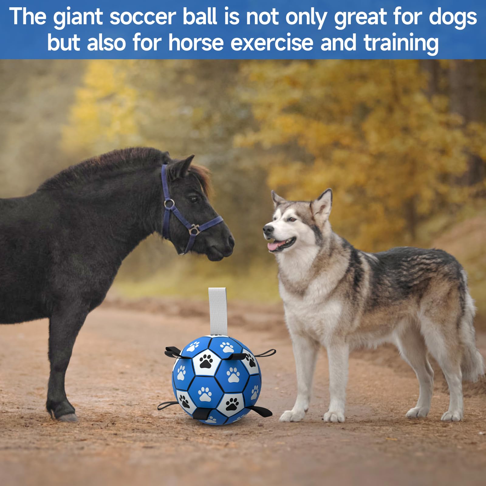 QDAN Extra Large Dog Soccer Ball - Durable Polyurethane, Dark Blue, 9 Inch, Outdoor Toy with Straps for Large Dogs
